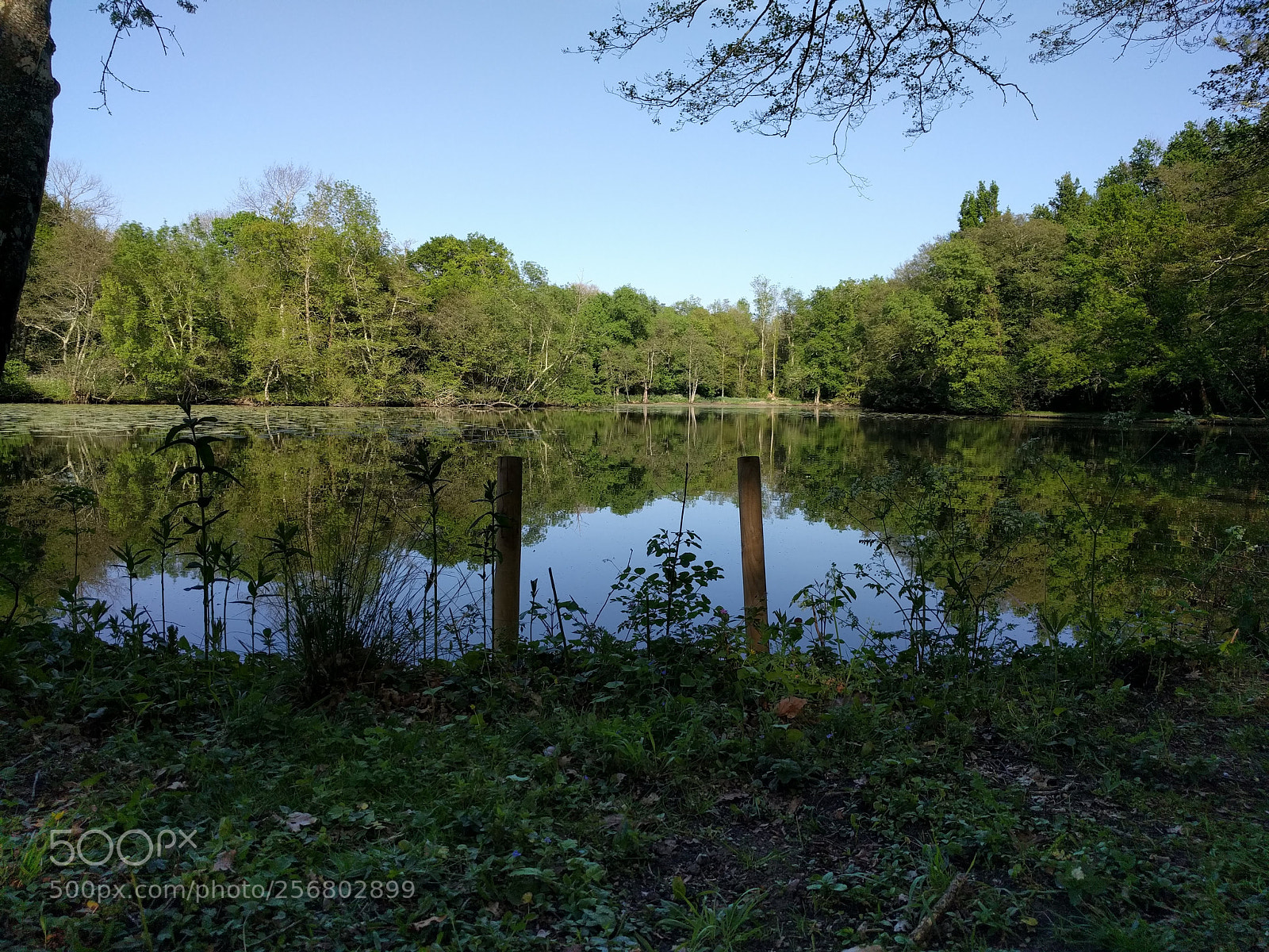 LG Nexus 5X sample photo. Lake photography