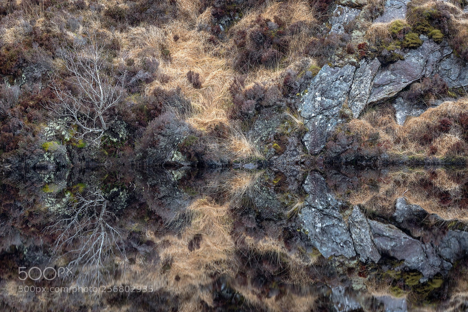Canon EOS 5D Mark IV sample photo. Hebrides 3 photography