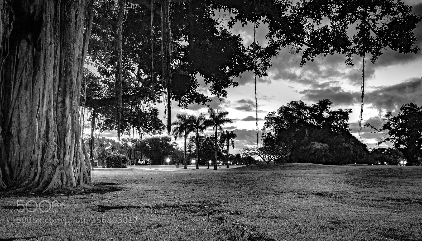 Nikon D850 sample photo. Granada golf course photography