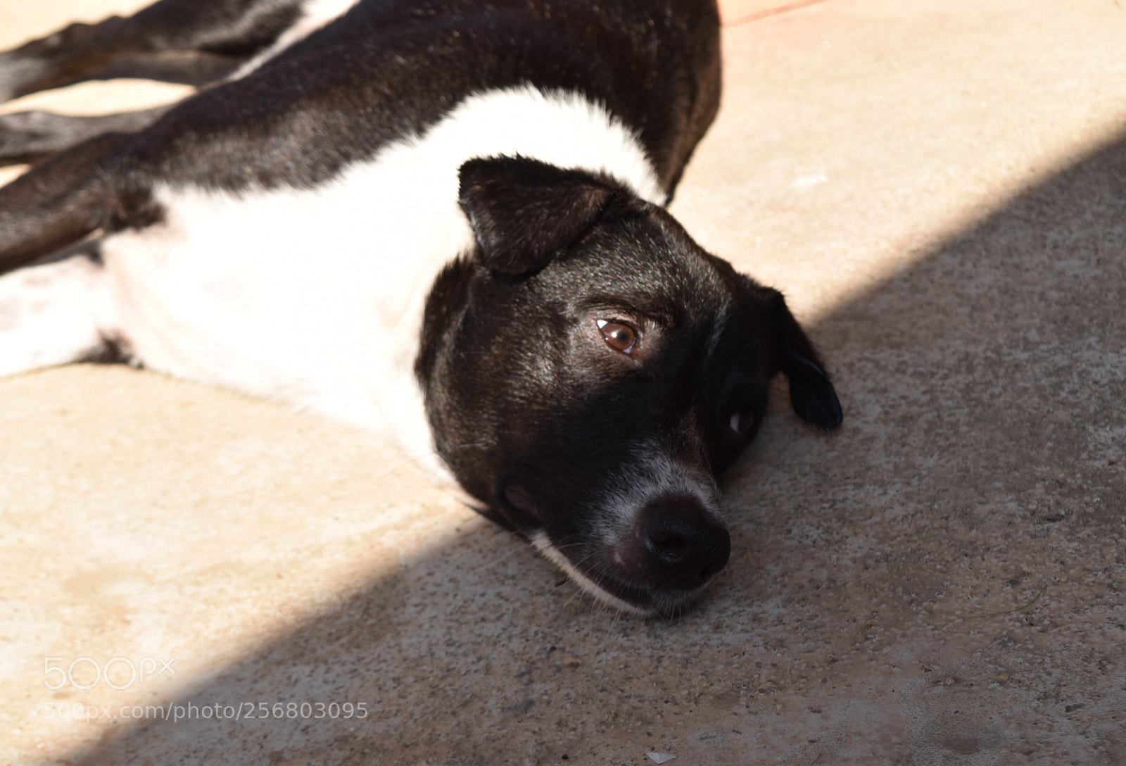 Nikon D5500 sample photo. Untitled photography
