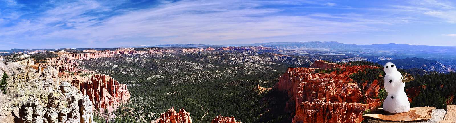 Nikon D750 sample photo. I ll be back photography