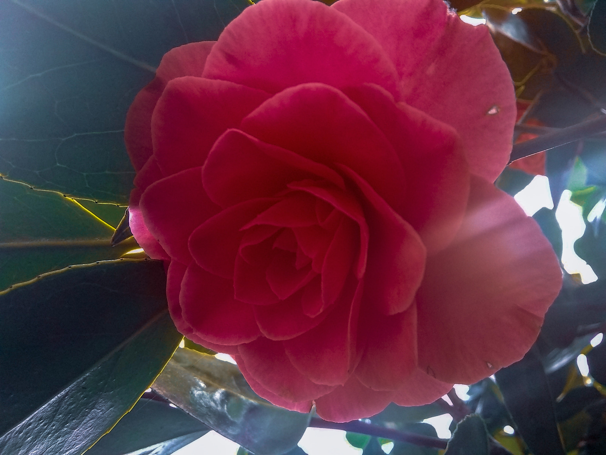 Motorola Moto E4 sample photo