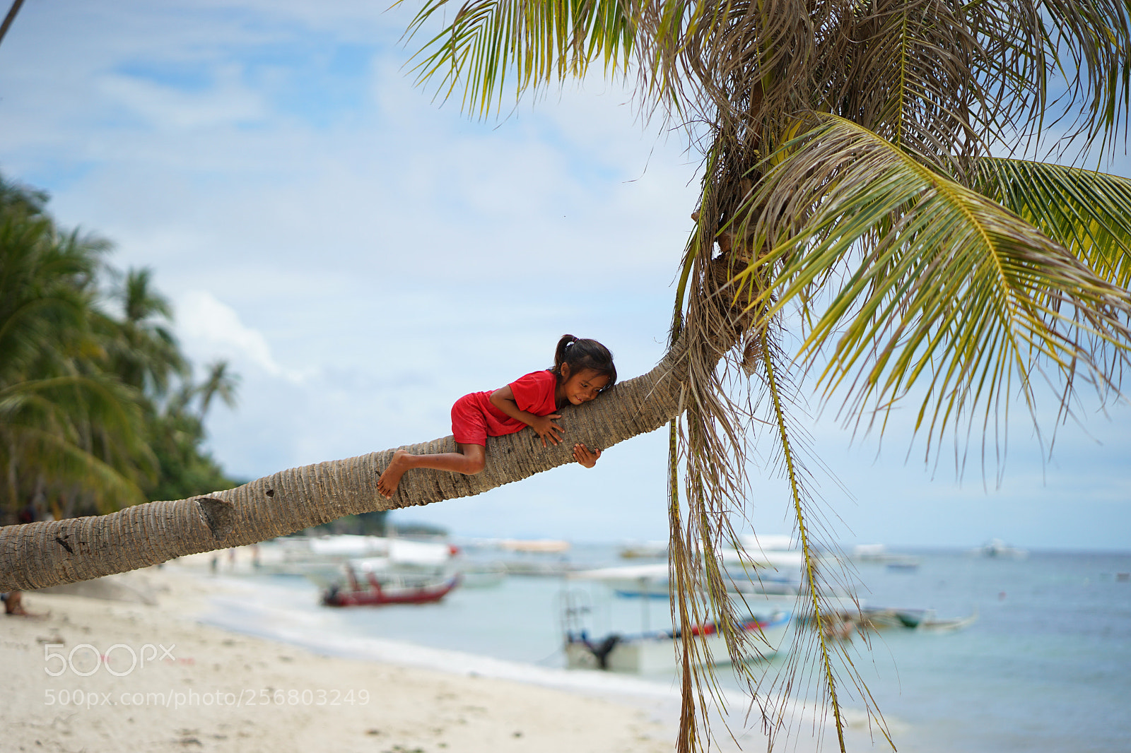 Sony a7 II sample photo. Panglao island photography