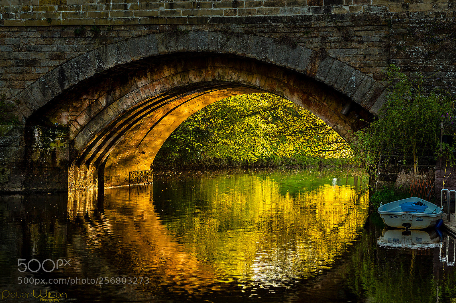 Canon EOS 6D sample photo. Golden light photography