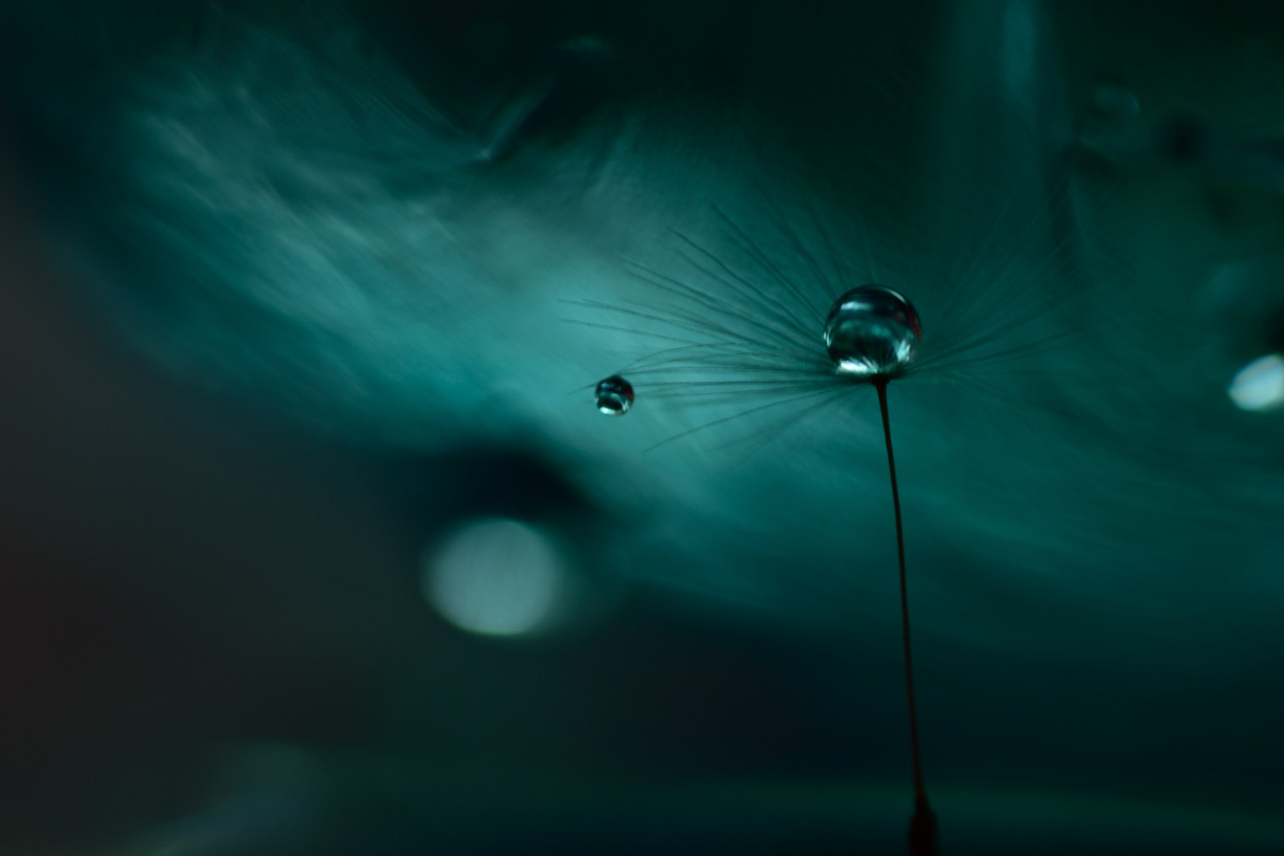 Sigma 105mm F2.8 EX DG OS HSM sample photo. Spaceman photography