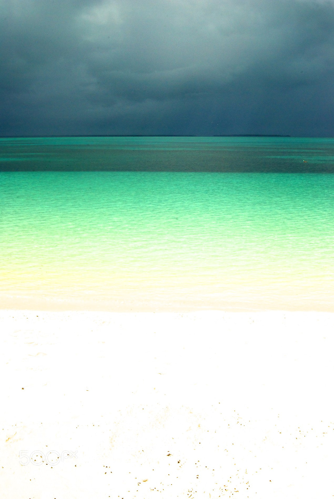 Nikon D60 sample photo. Color palette photography