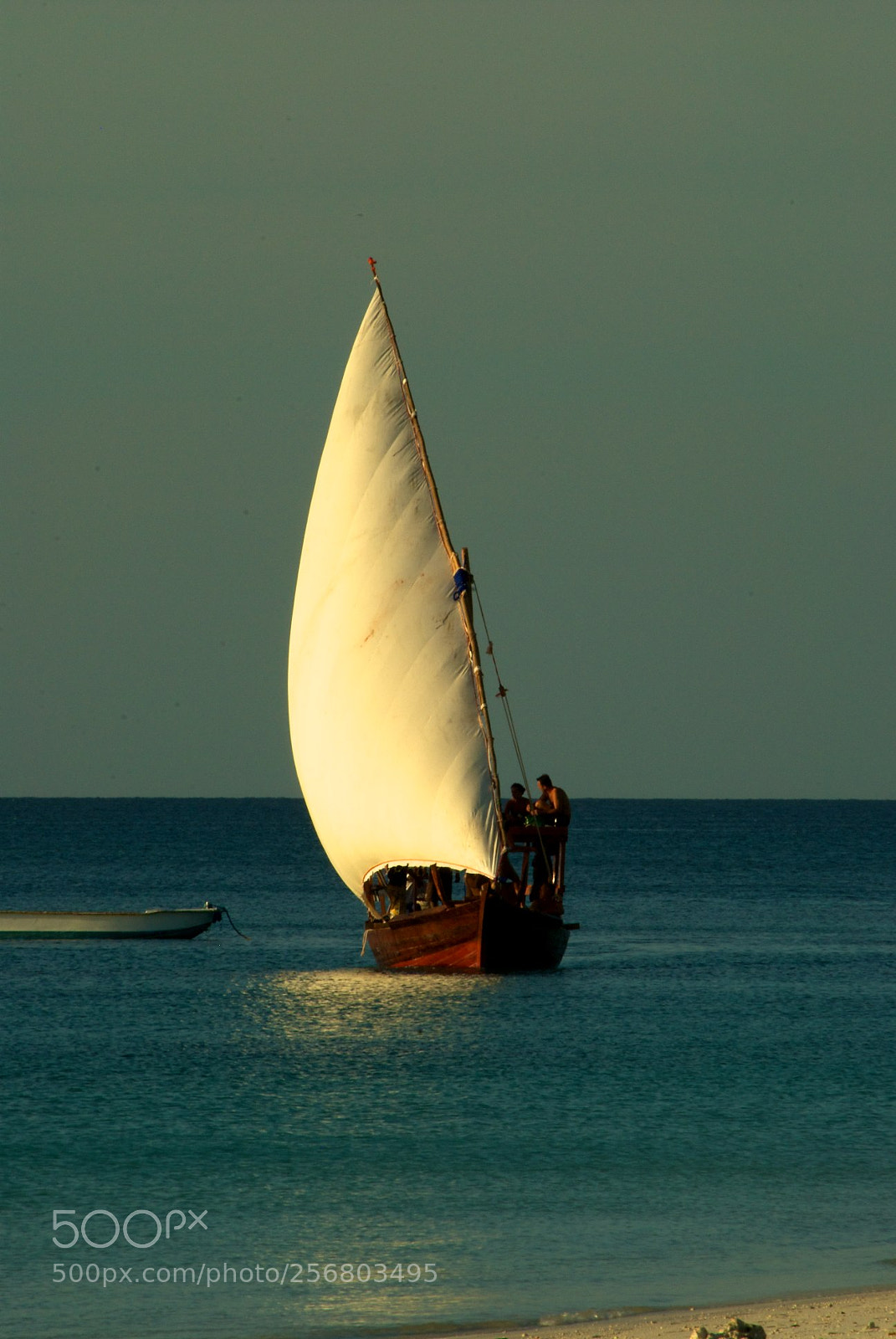 Nikon D60 sample photo. Version photography