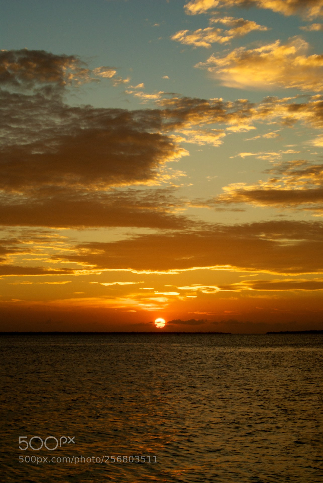 Nikon D60 sample photo. Version photography