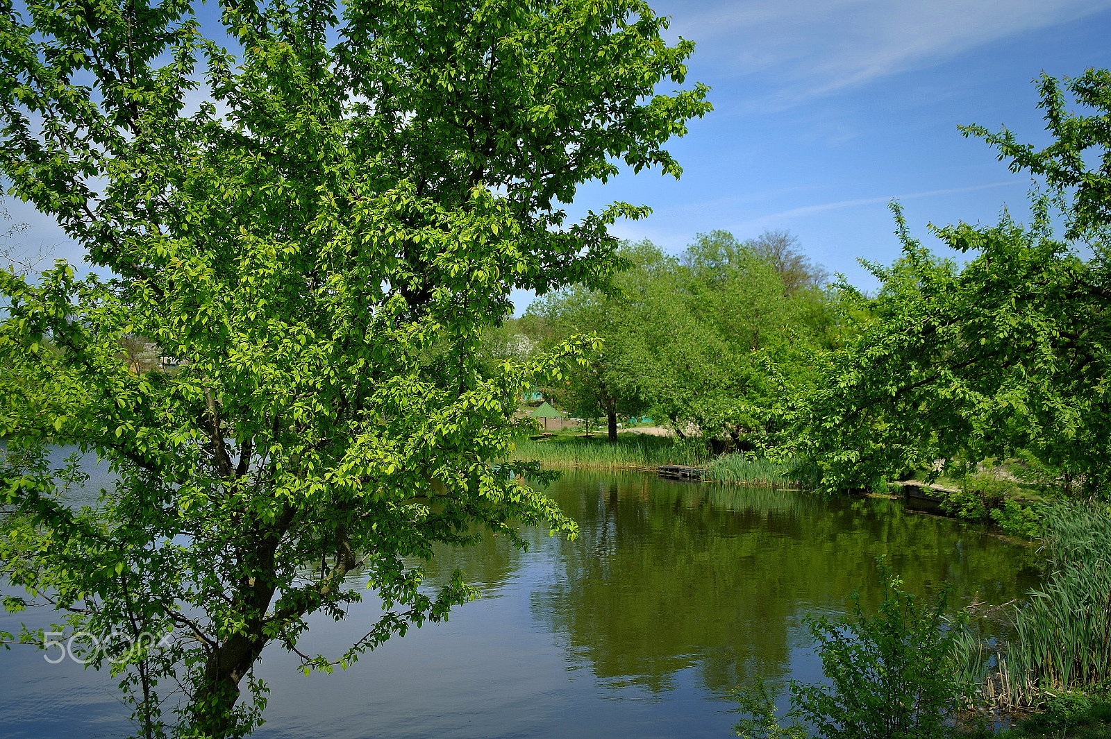 Samsung NX5 sample photo. Pond photography