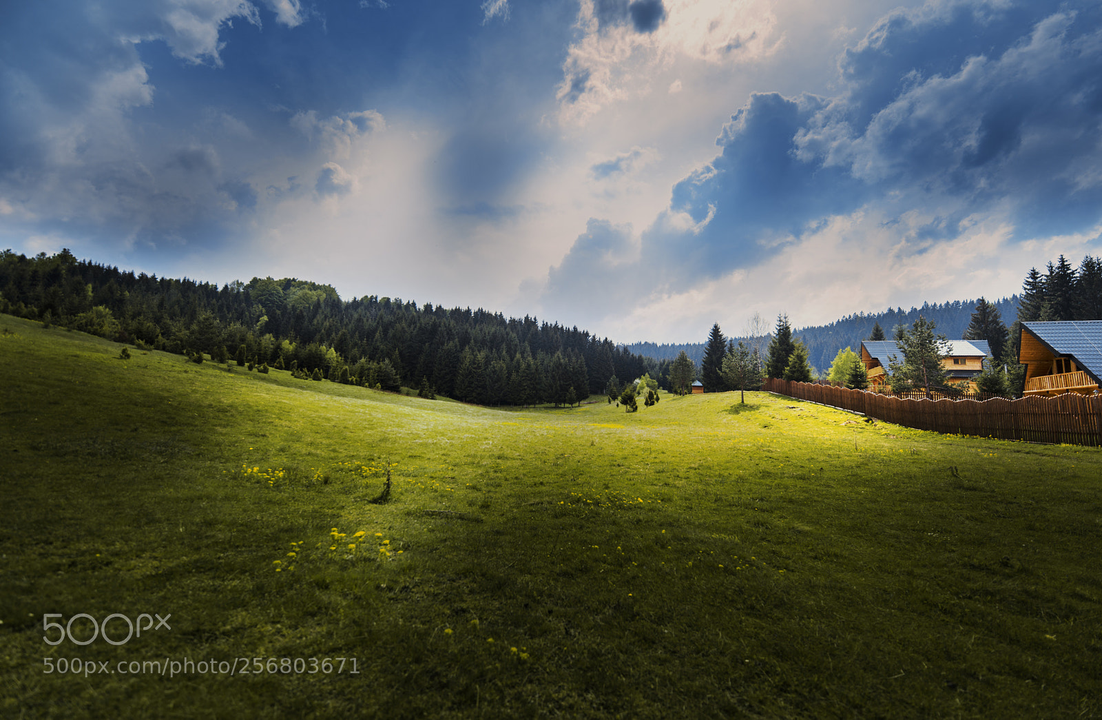 Nikon D610 sample photo. Countryside photography