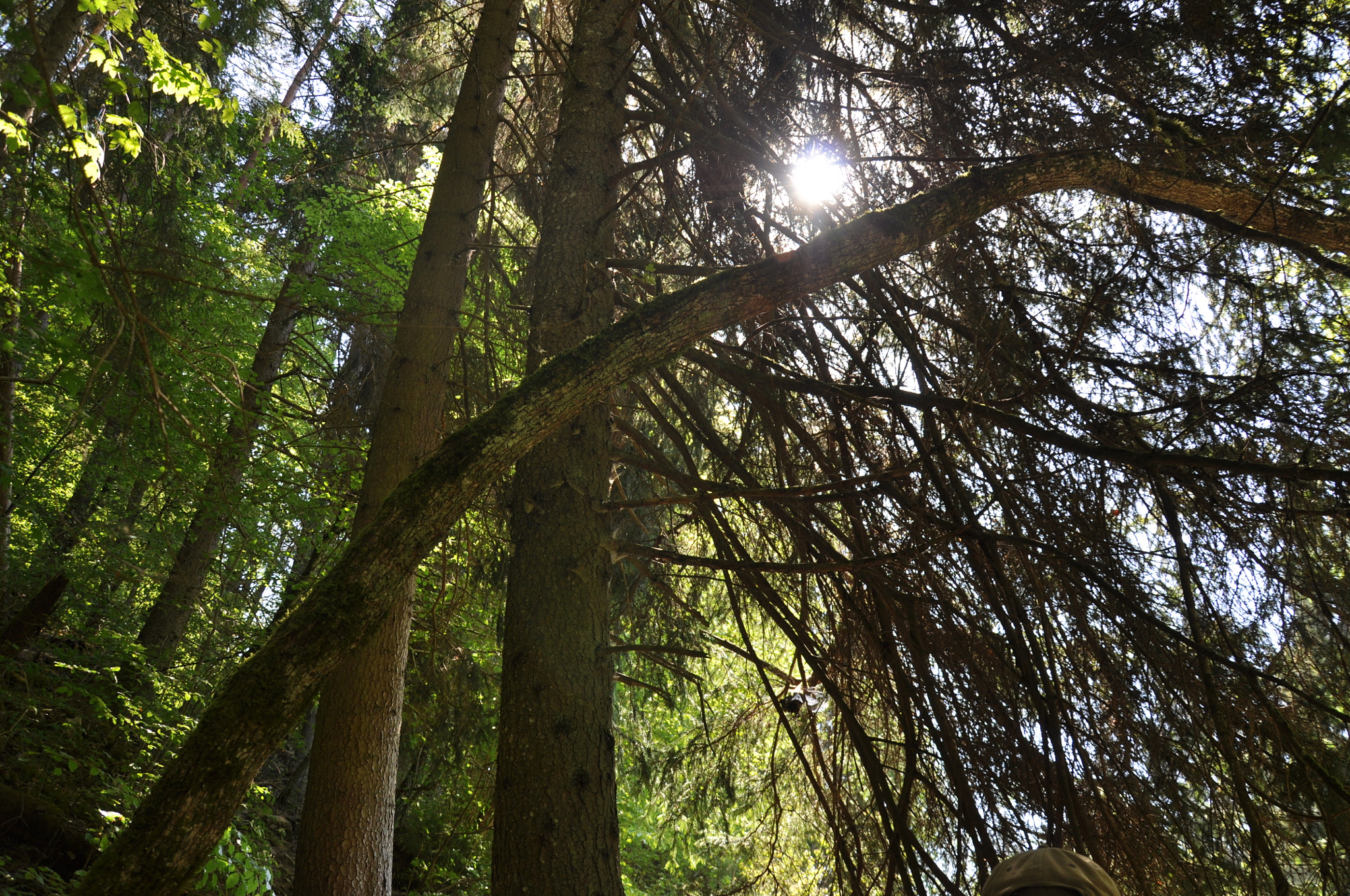 Nikon D5000 sample photo. Shadows photography