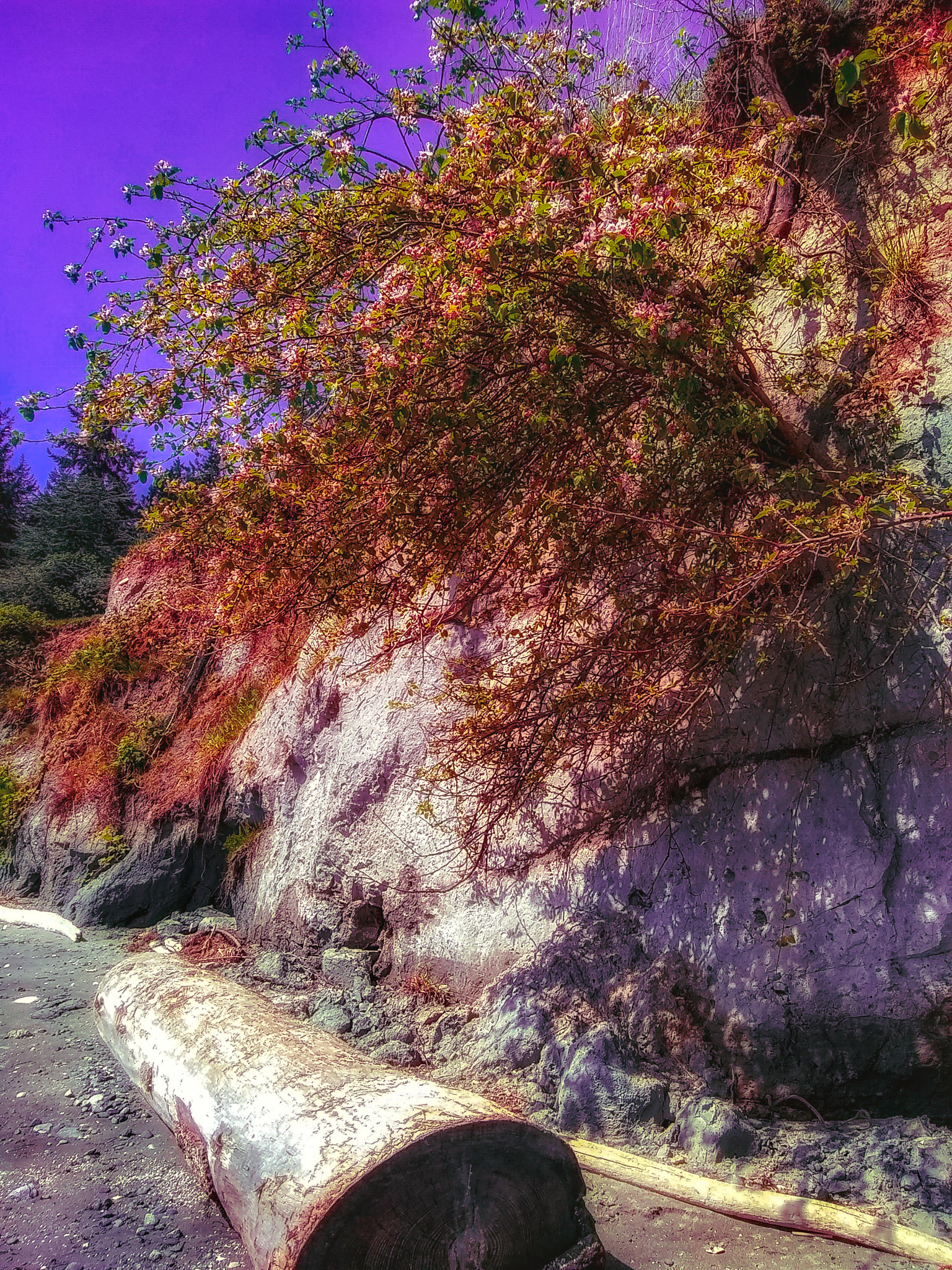 Motorola Moto E4 sample photo