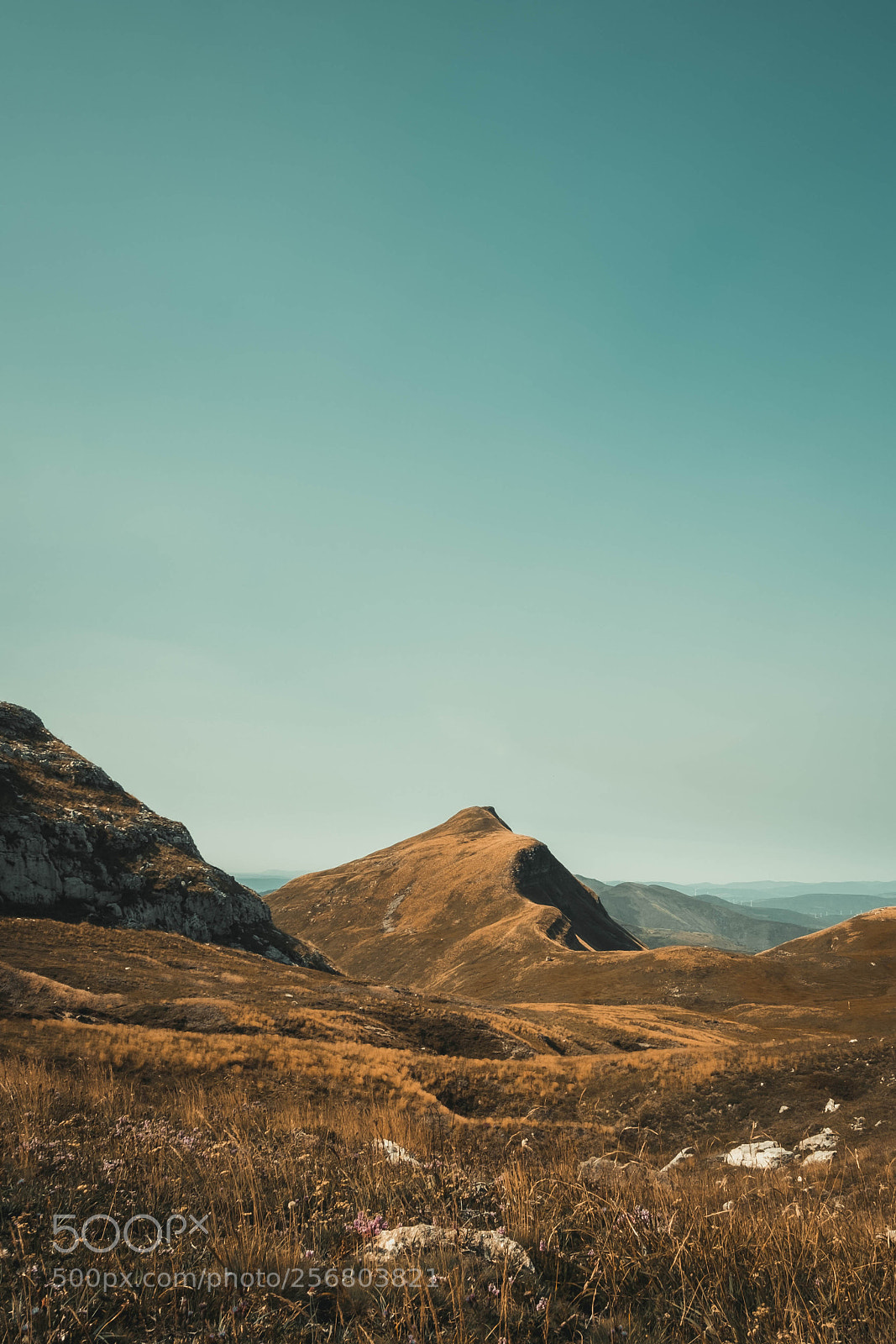 Fujifilm X-T2 sample photo. La capia photography