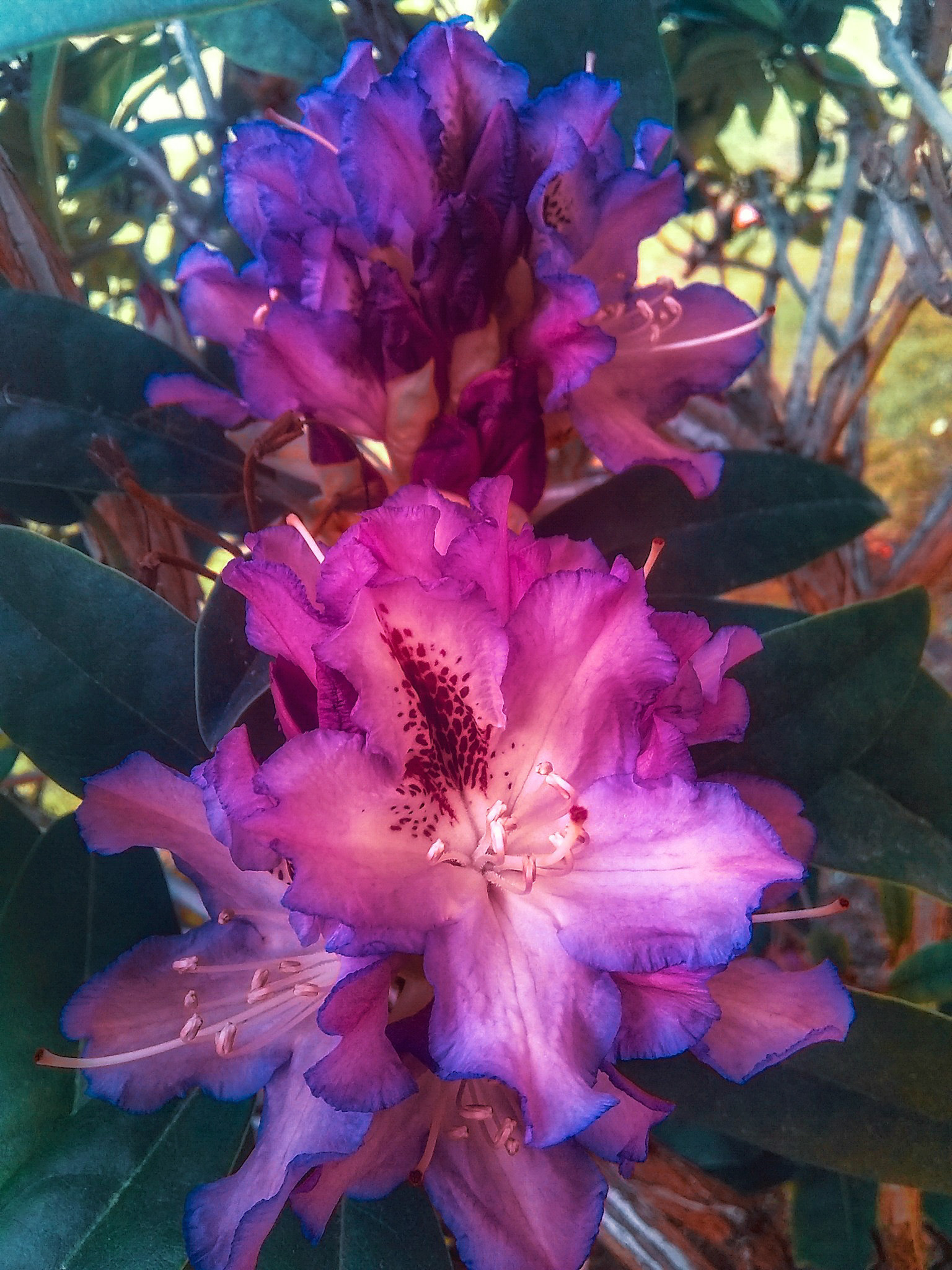 Motorola Moto E4 sample photo