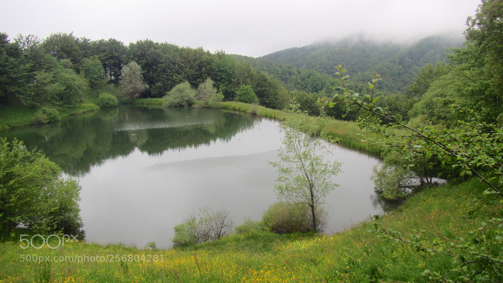 Canon PowerShot D30 sample photo. Version photography