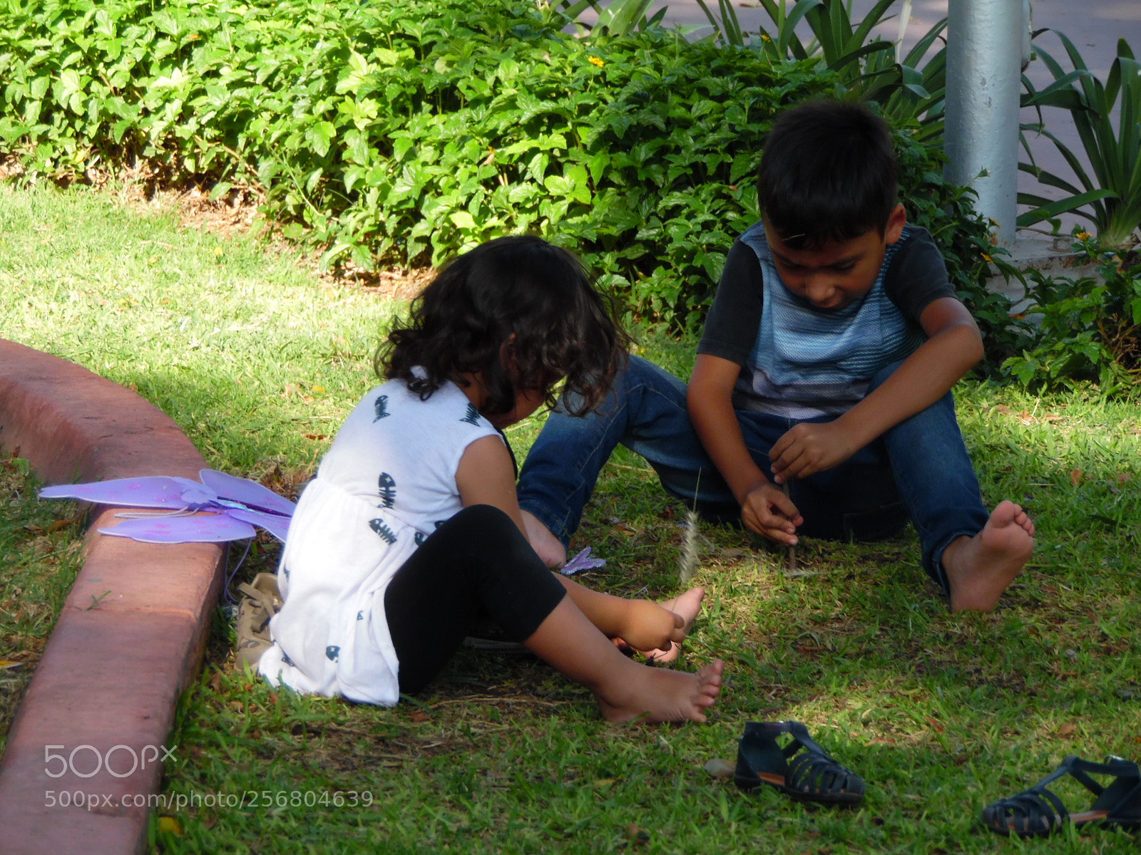 Samsung WB1100F/WB1101F/WB1102F sample photo. Symphony photography
