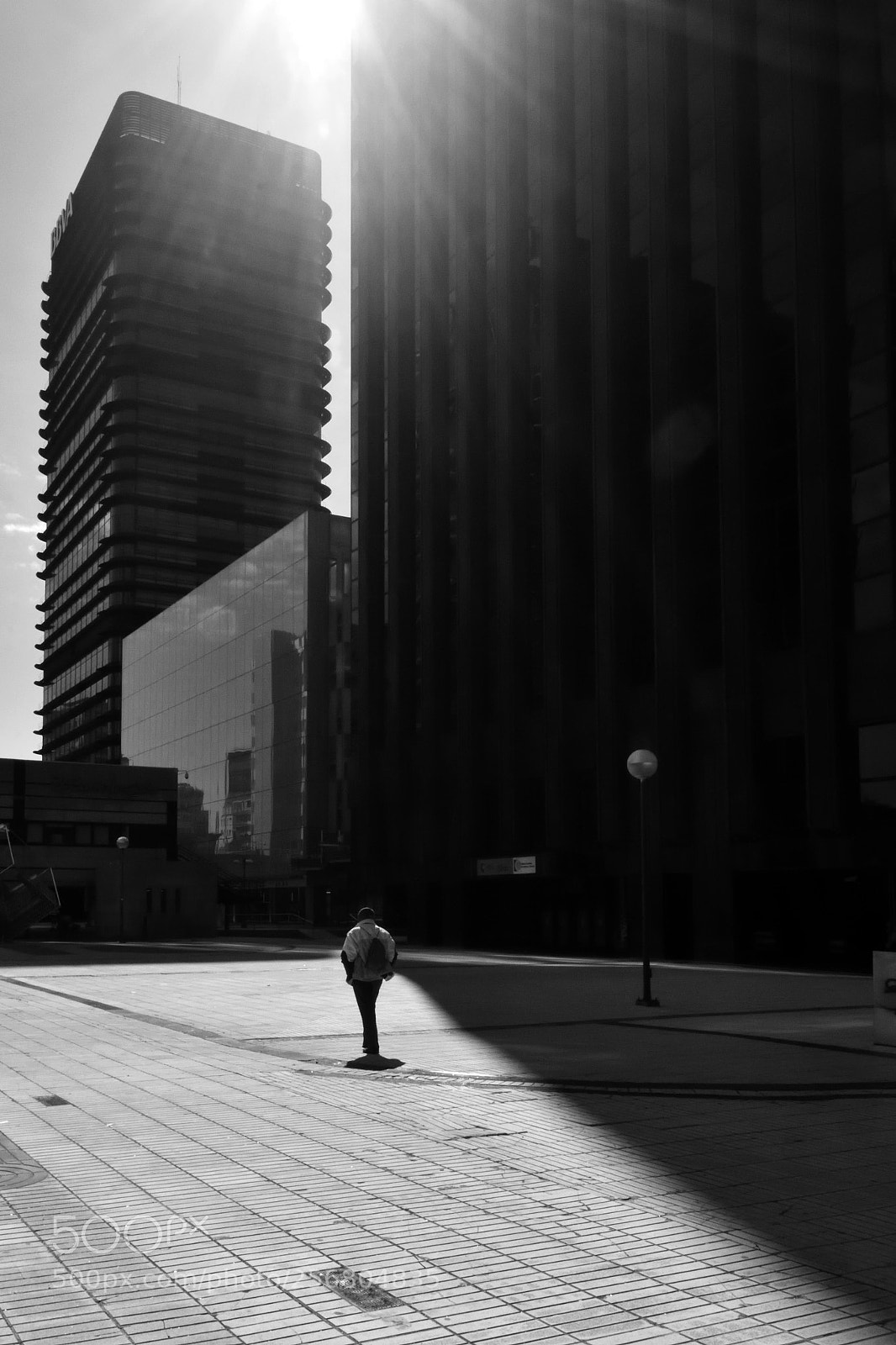 Nikon D7200 sample photo. Alone photography