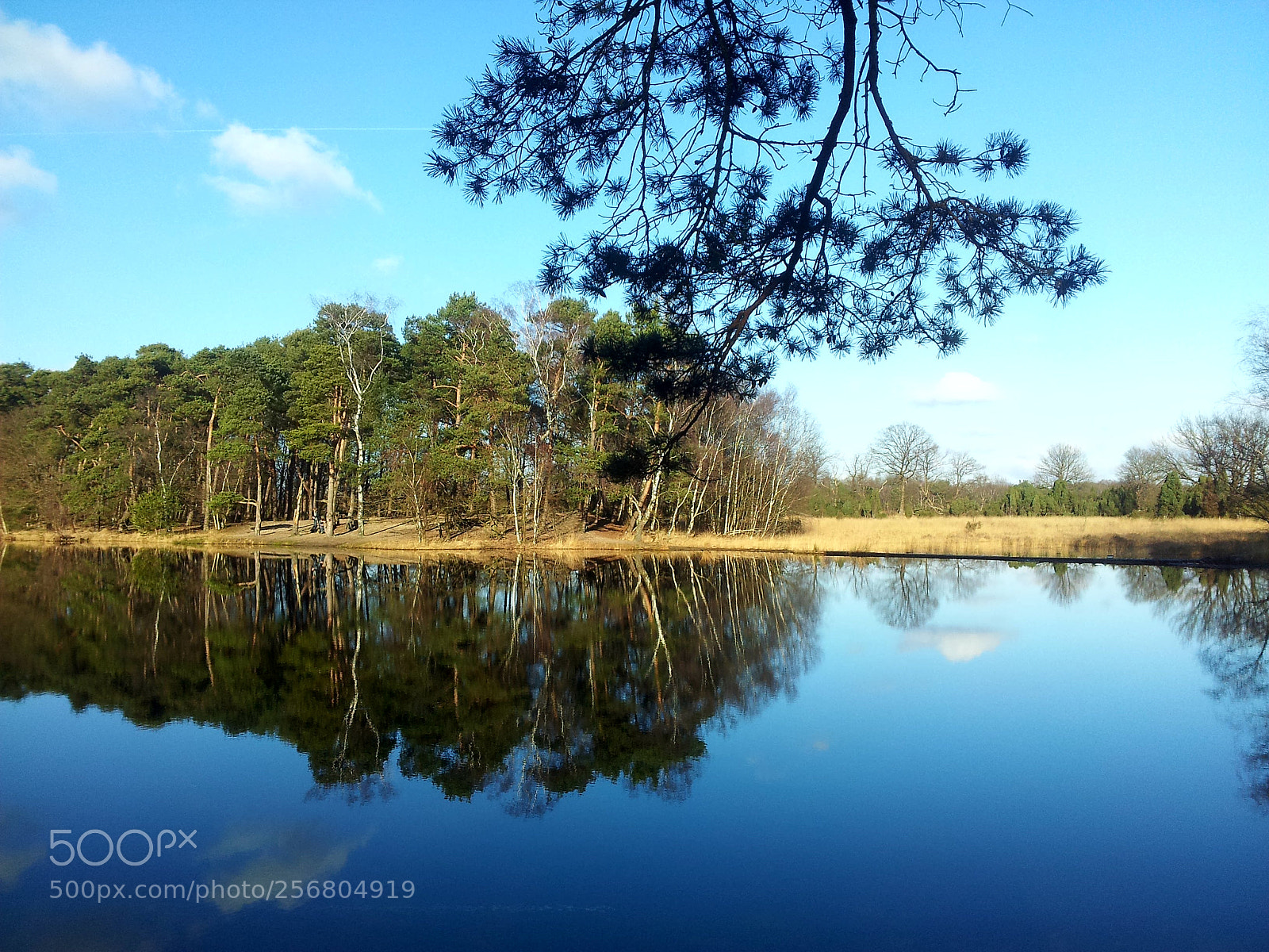 Samsung Galaxy S2 sample photo. Untitled photography