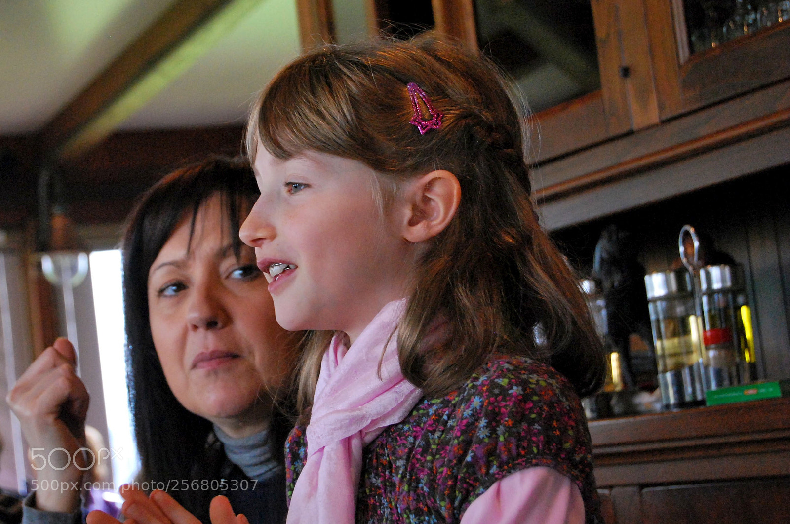 Nikon D60 sample photo. Version photography