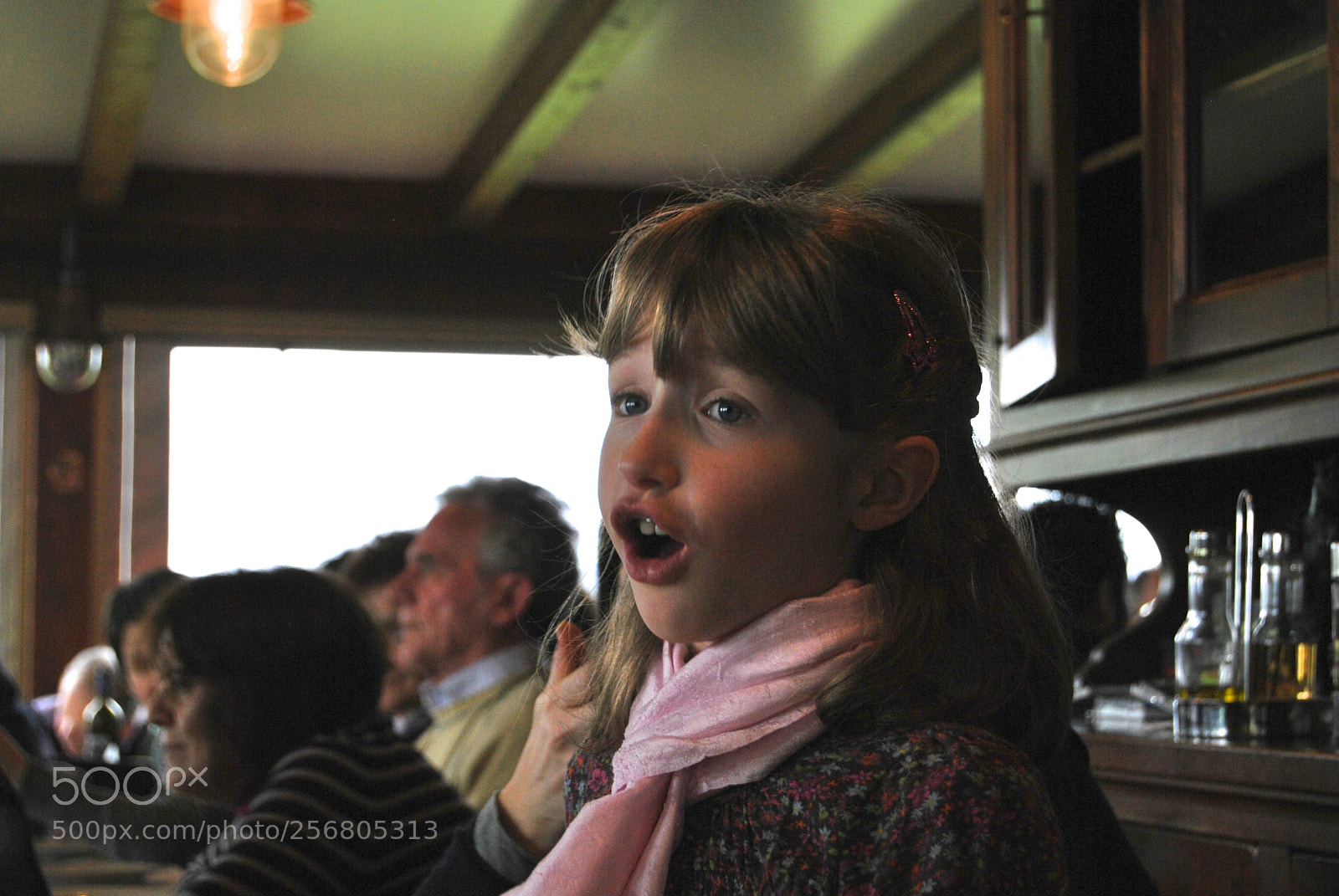 Nikon D60 sample photo. Version photography