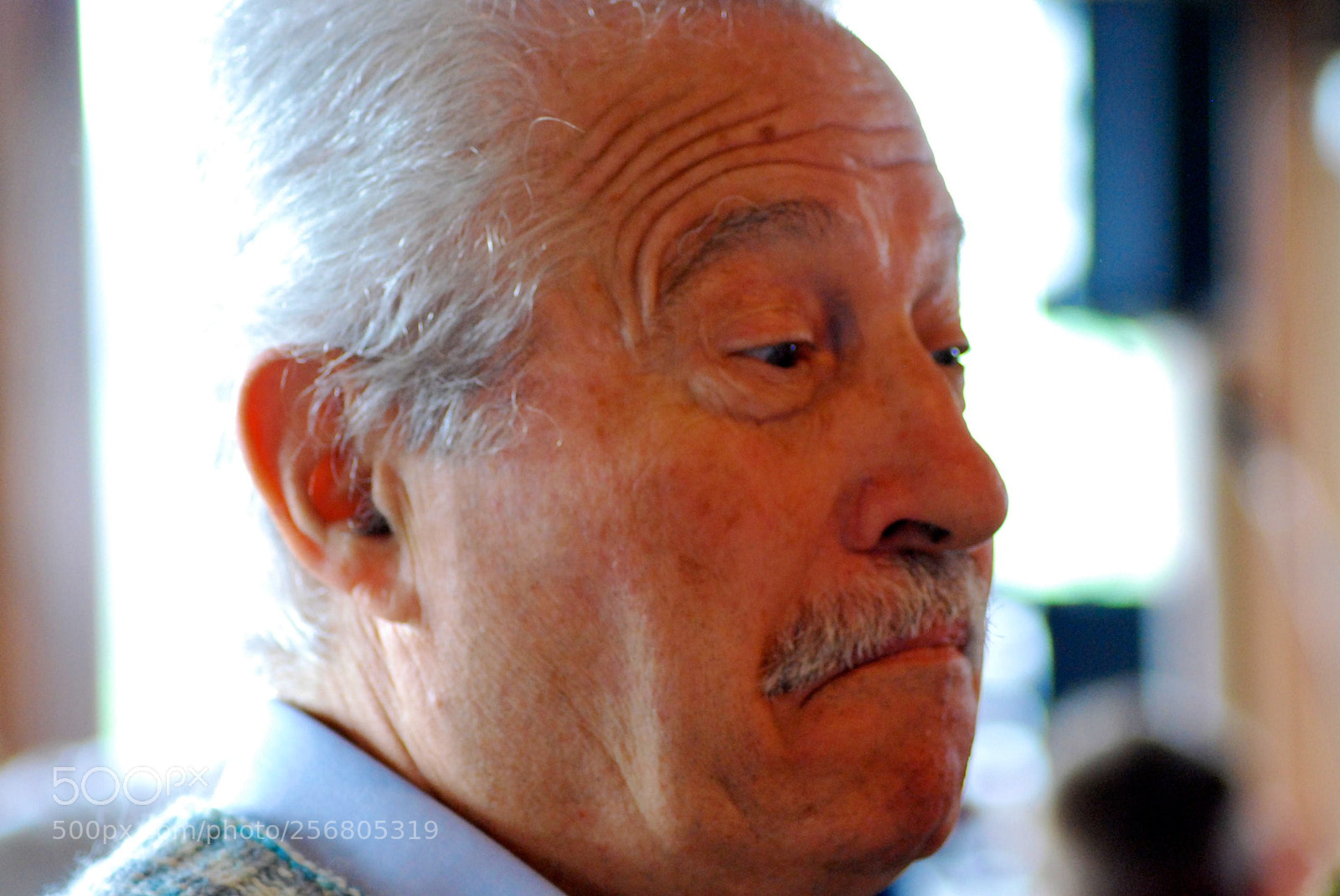 Nikon D60 sample photo. Version photography