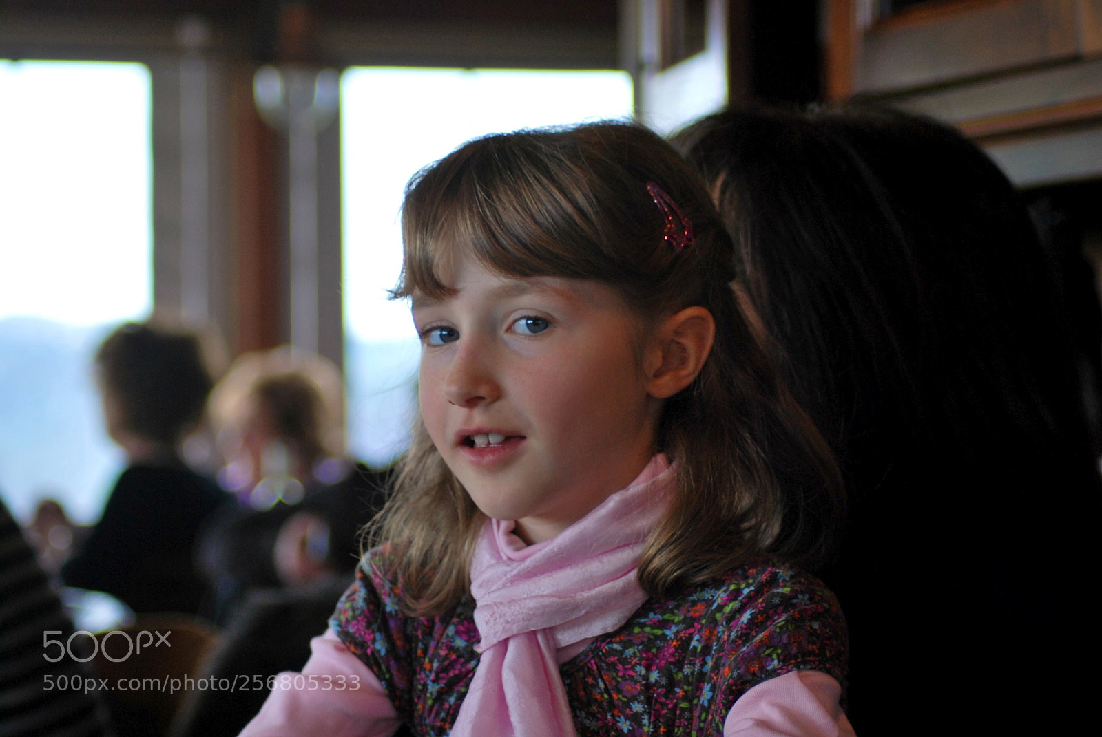 Nikon D60 sample photo. Version photography
