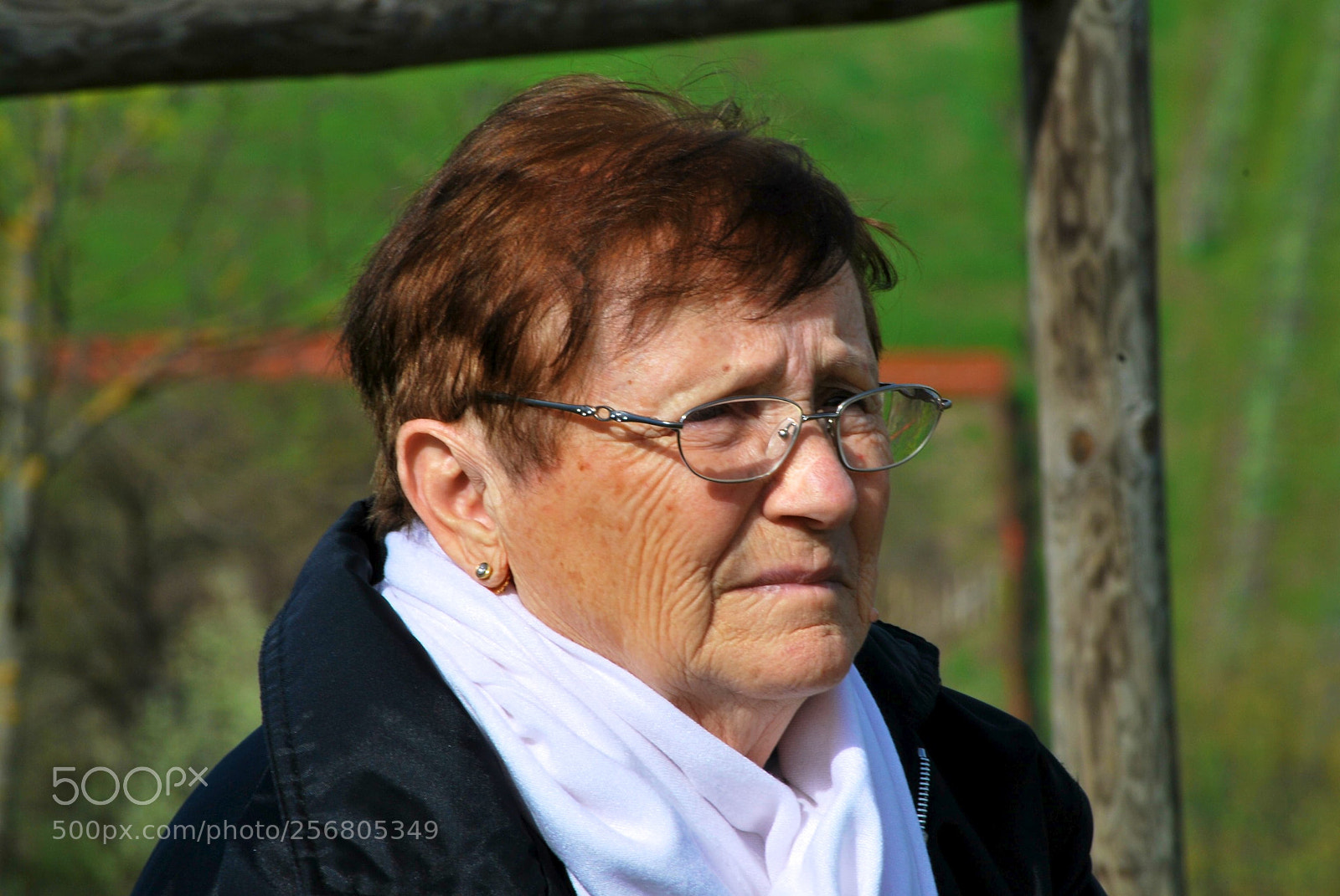 Nikon D60 sample photo. Version photography