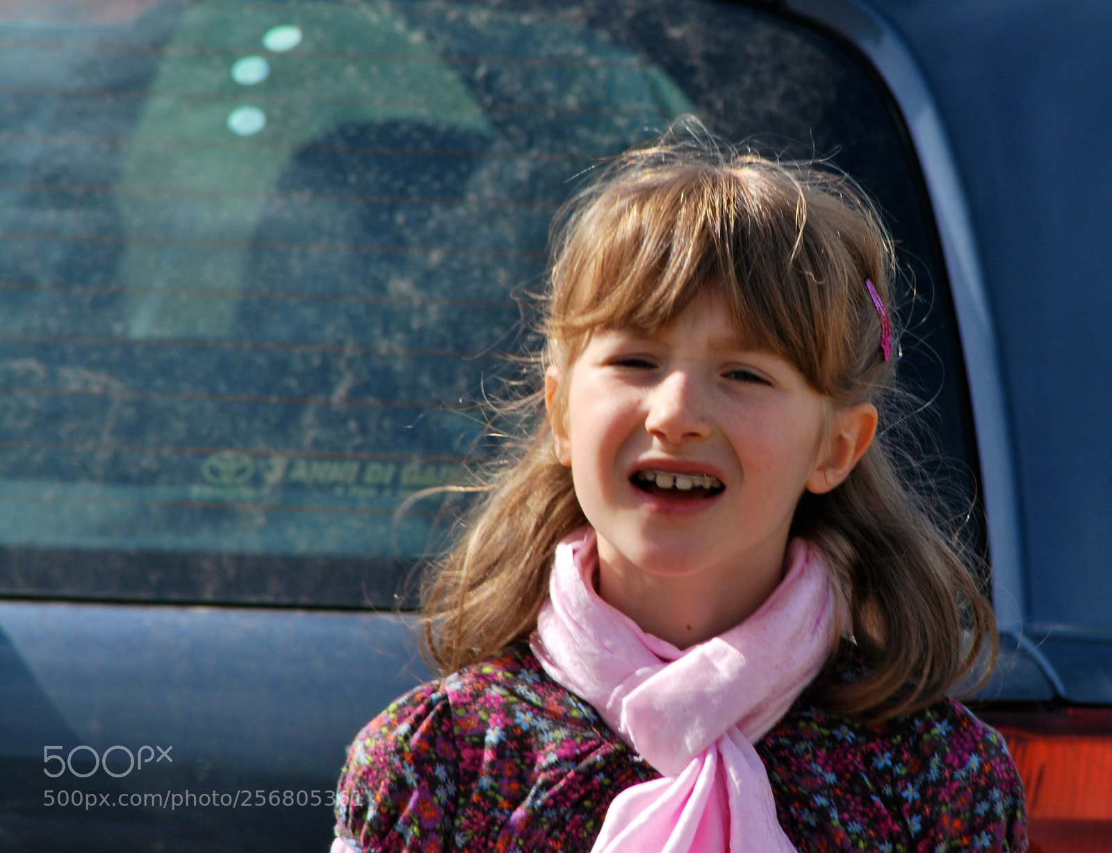 Nikon D60 sample photo. Version photography