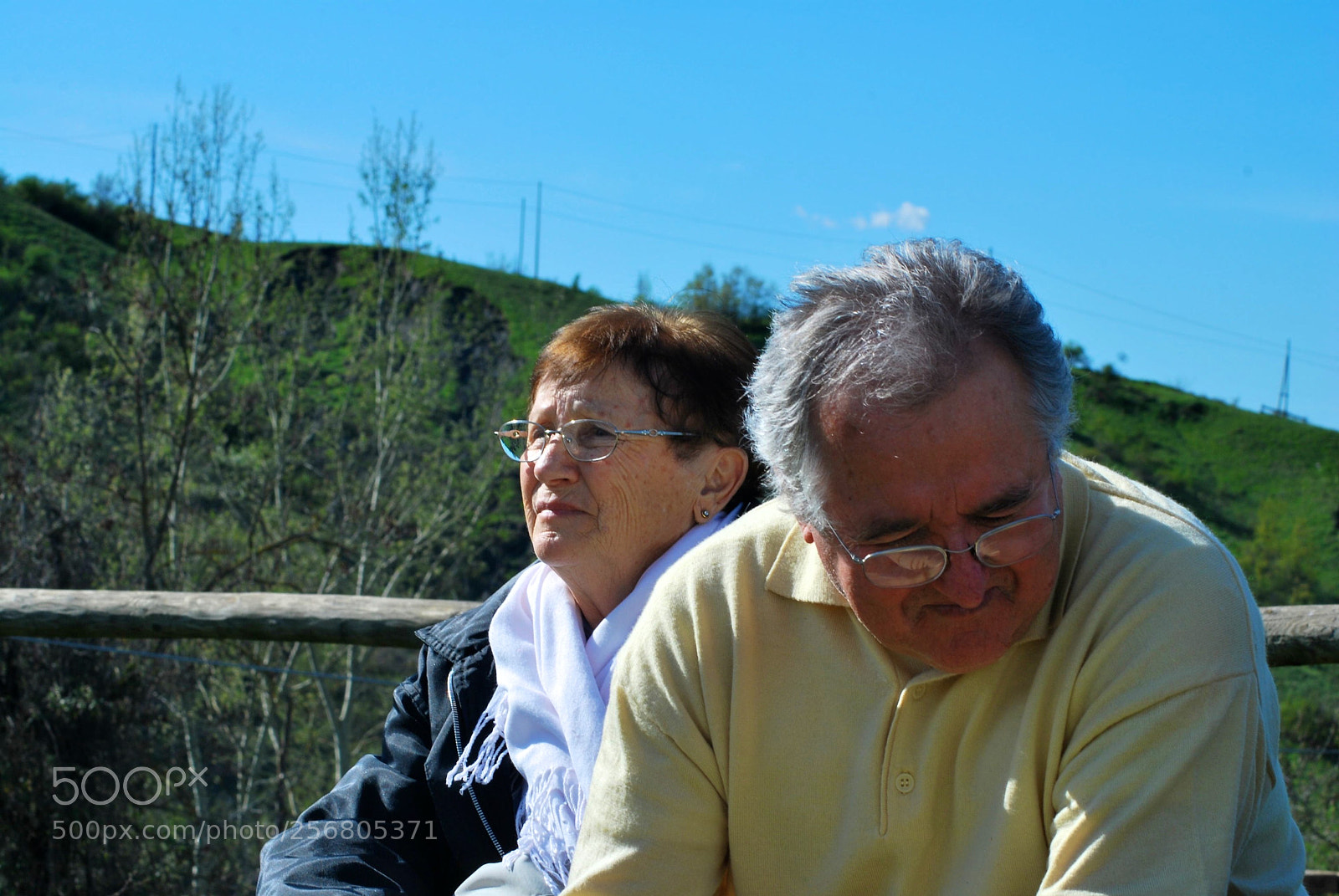 Nikon D60 sample photo. Version photography
