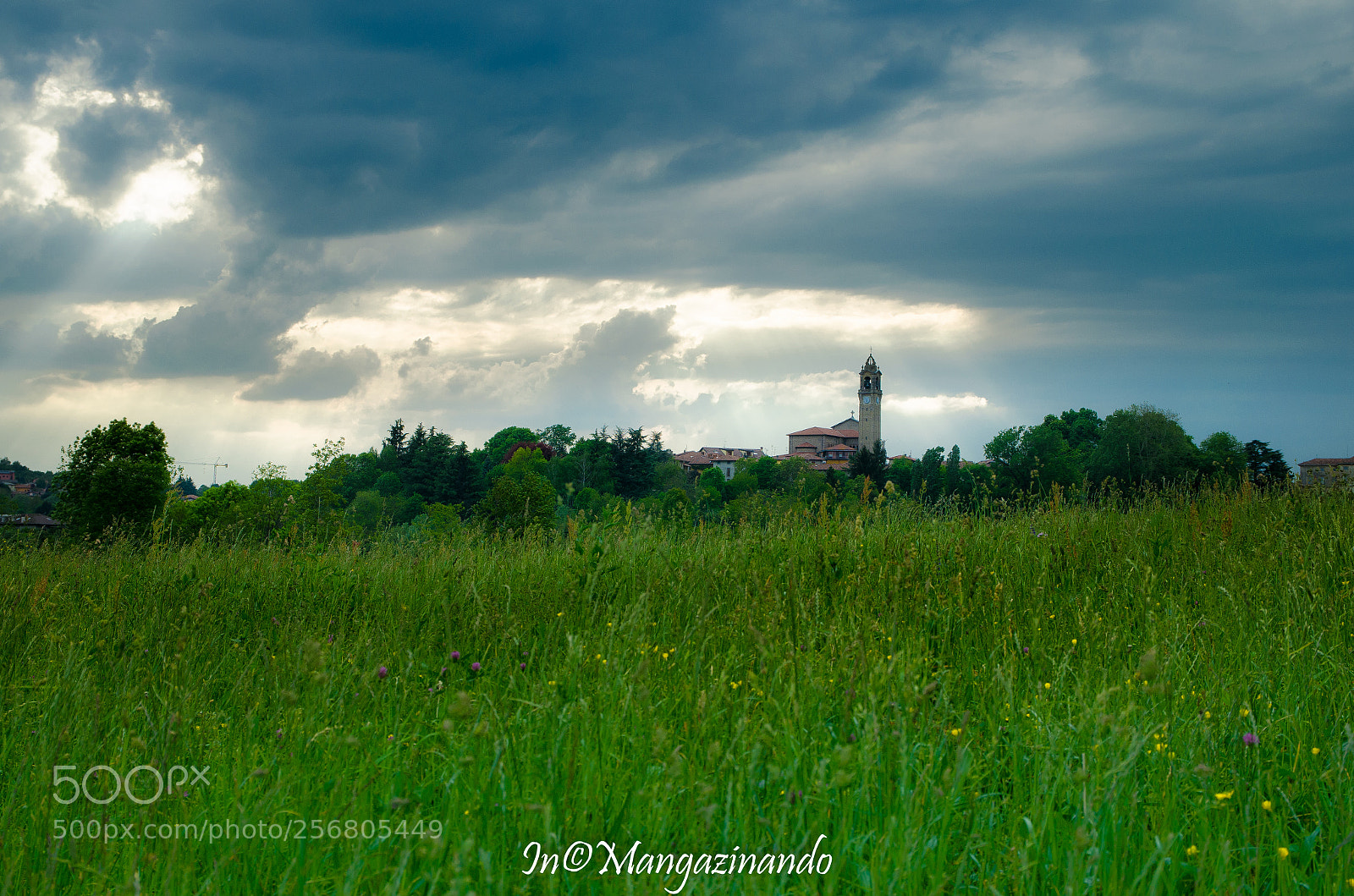Nikon D5100 sample photo. Pomellasca como photography
