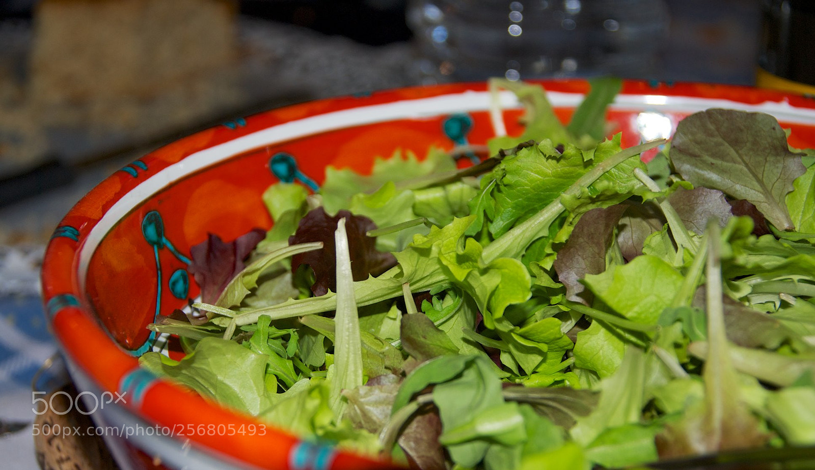 Nikon D60 sample photo. Version photography