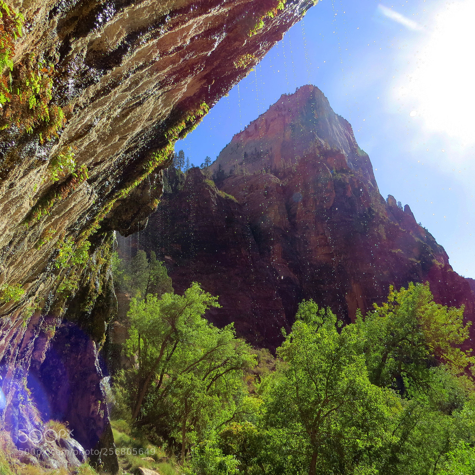 Canon PowerShot SX50 HS sample photo. Zion weeping rock photography