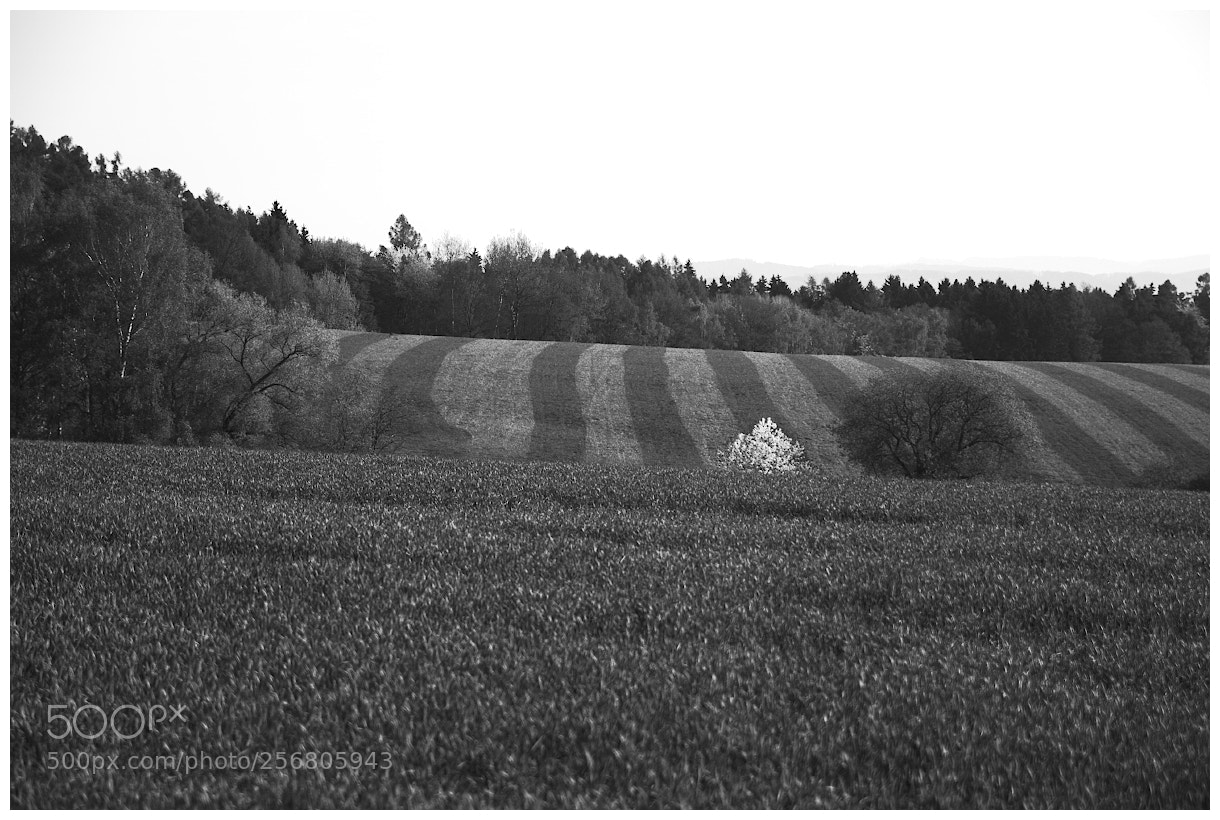 Pentax K-70 sample photo. Landscape i. photography