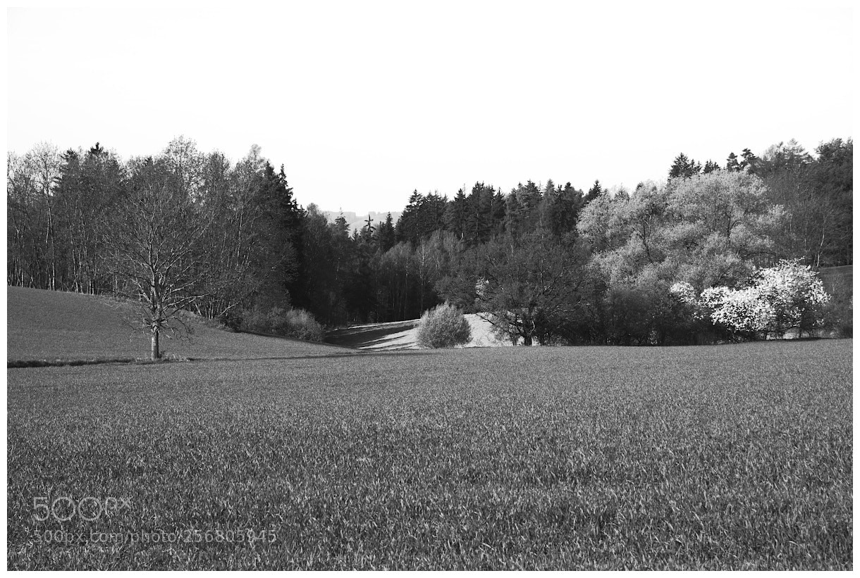Pentax K-70 sample photo. Landscape ii. photography
