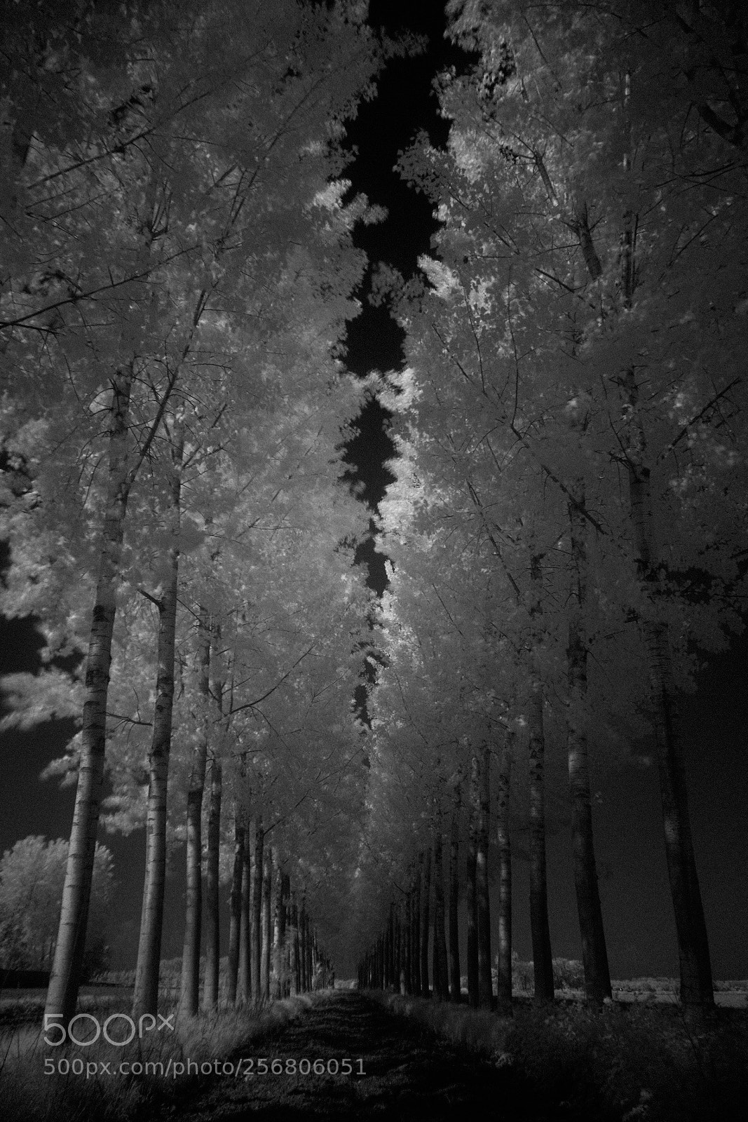 Fujifilm X-T2 sample photo. Untitled photography