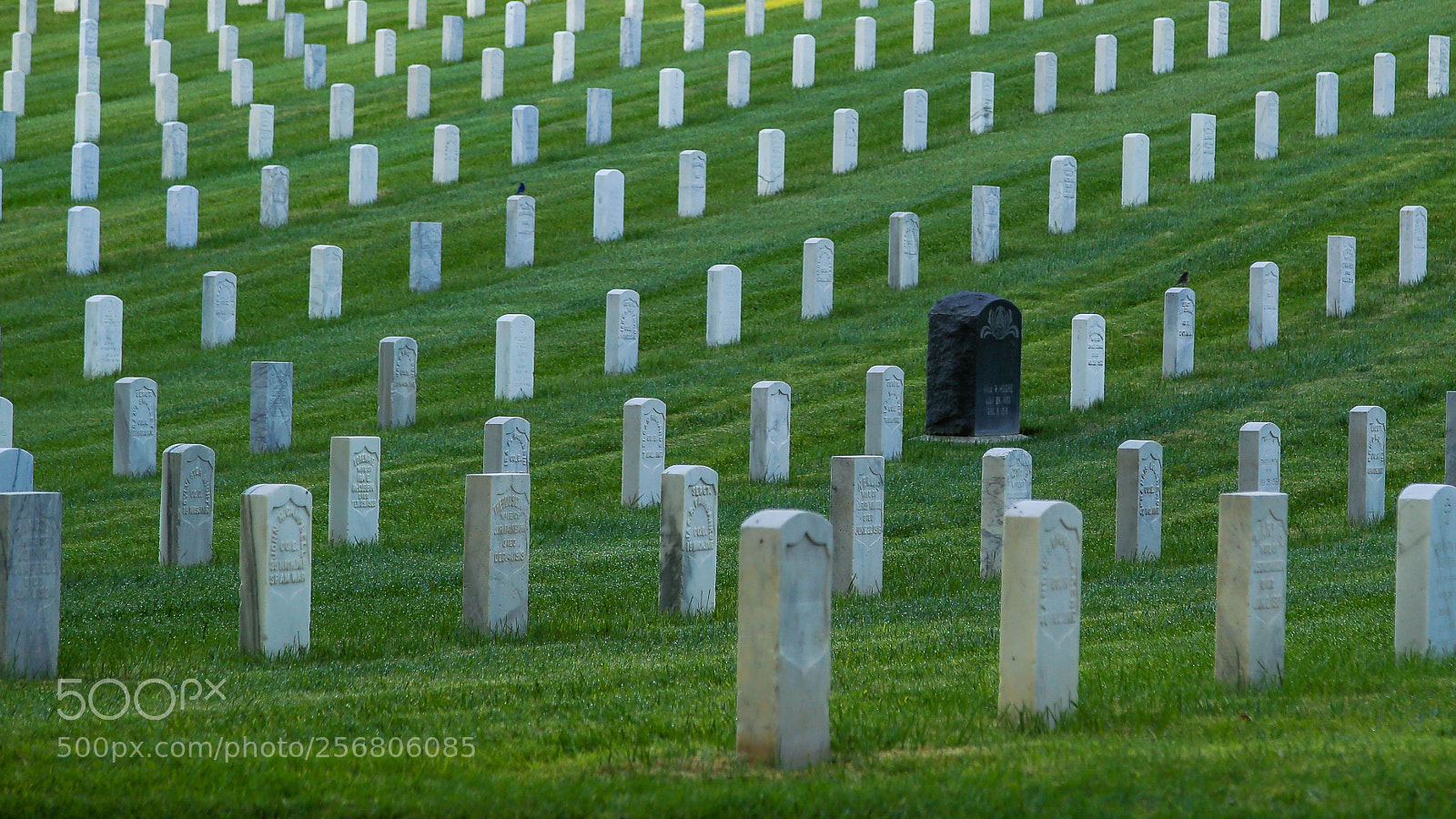 Canon EOS 6D sample photo. Soldier tombstones photography