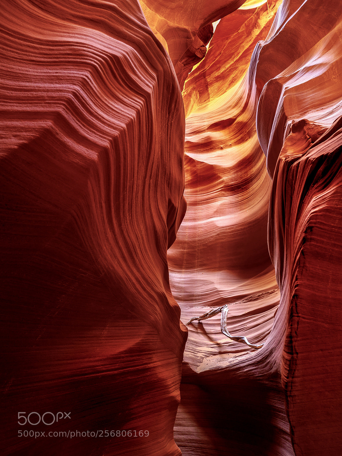 Olympus OM-D E-M5 II sample photo. Horseshoe bend slot canyon photography
