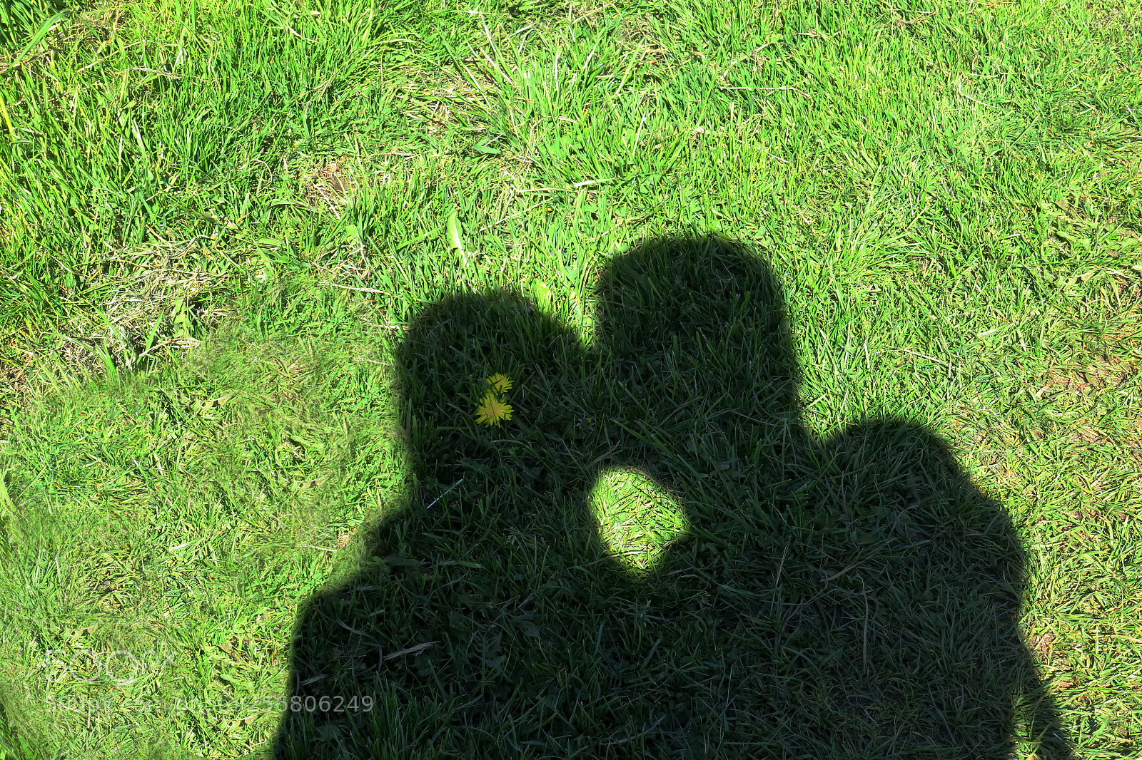 Canon PowerShot G3 X sample photo. Jpg photography