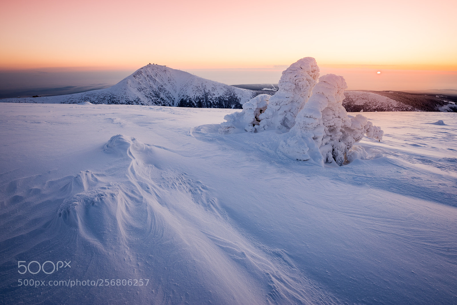 Nikon D750 sample photo. Cold winter photography