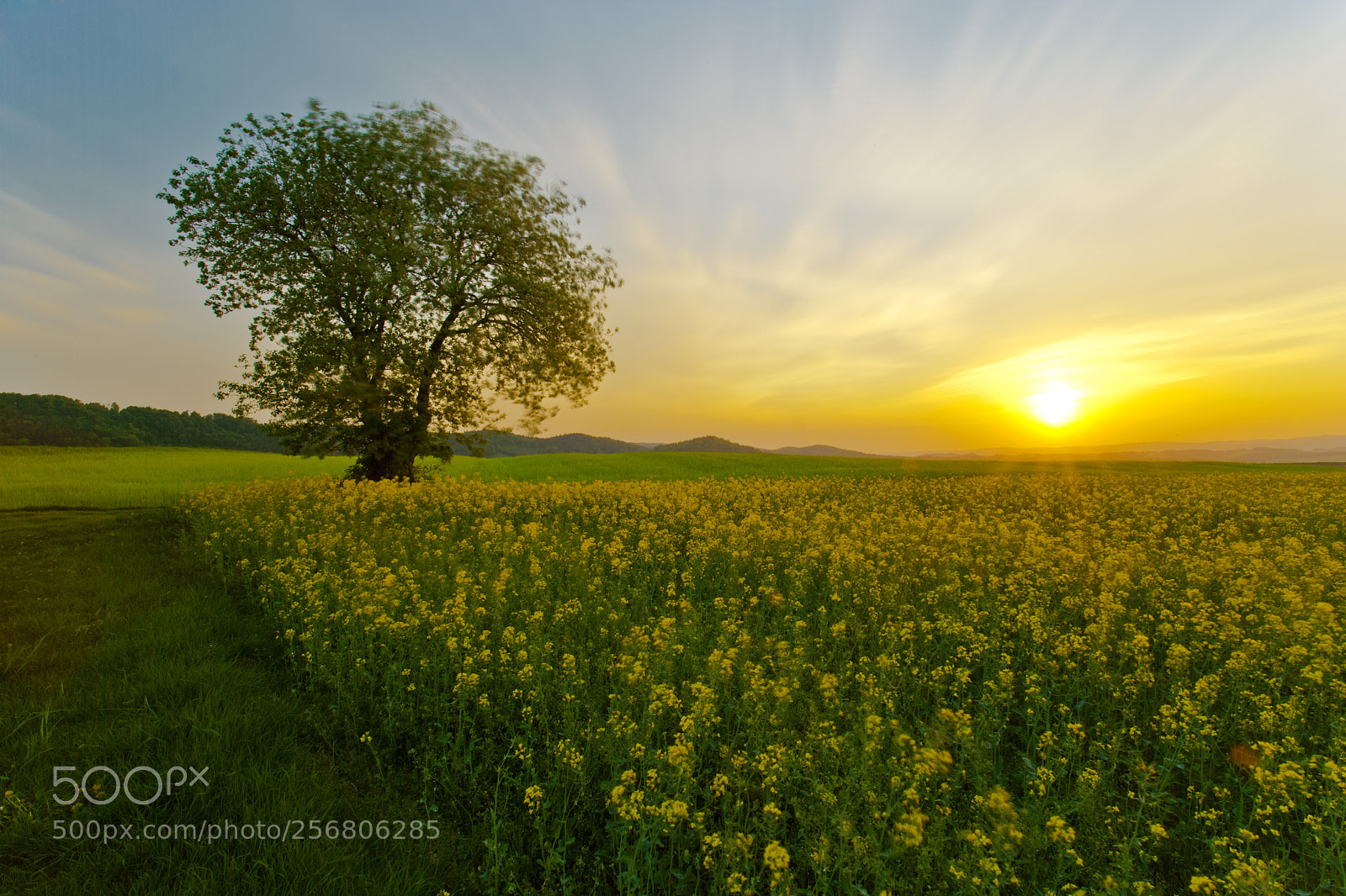 Canon EOS-1Ds Mark II sample photo. Cisza.... photography