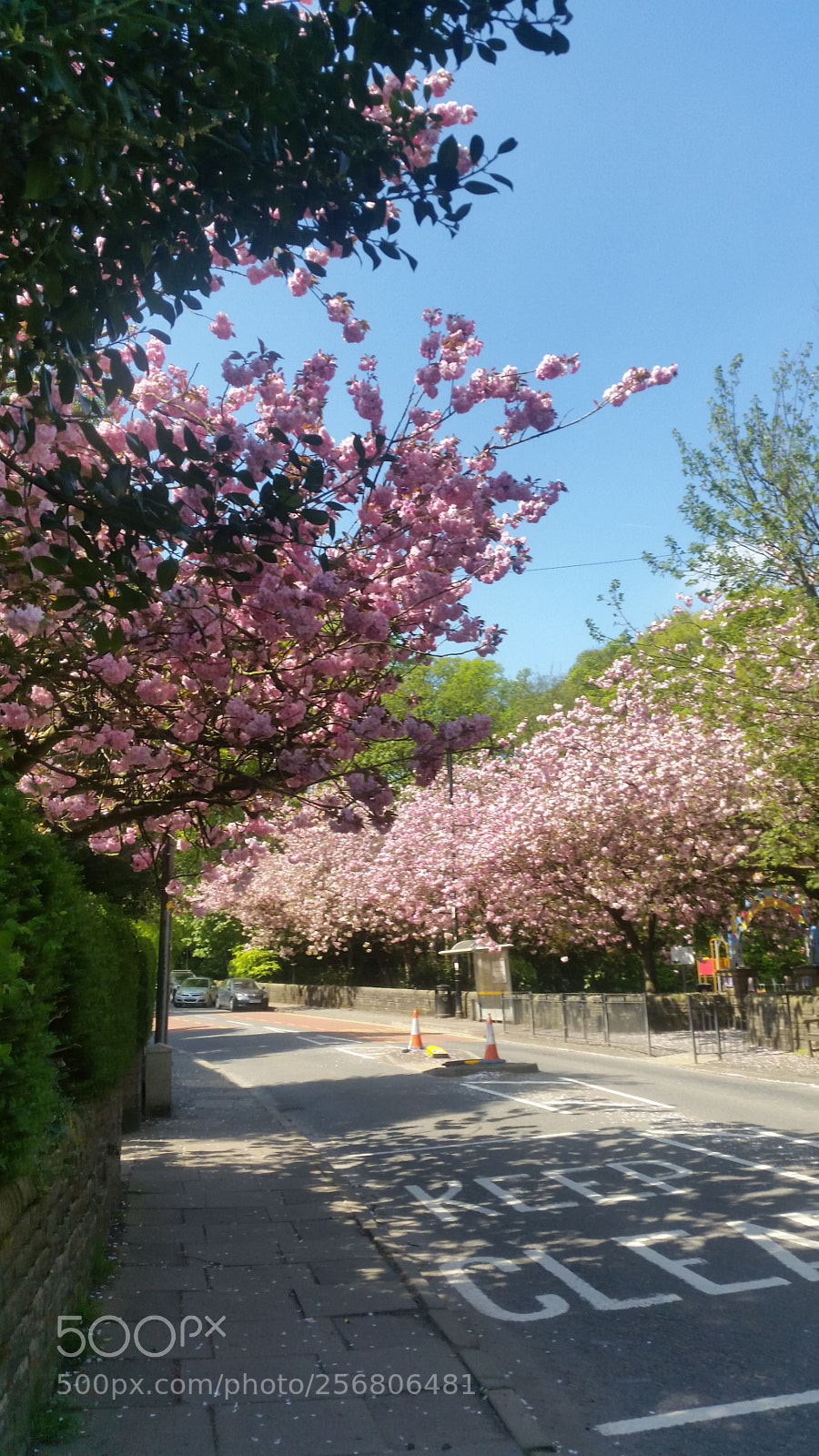 Samsung Galaxy S5 sample photo. Untitled photography