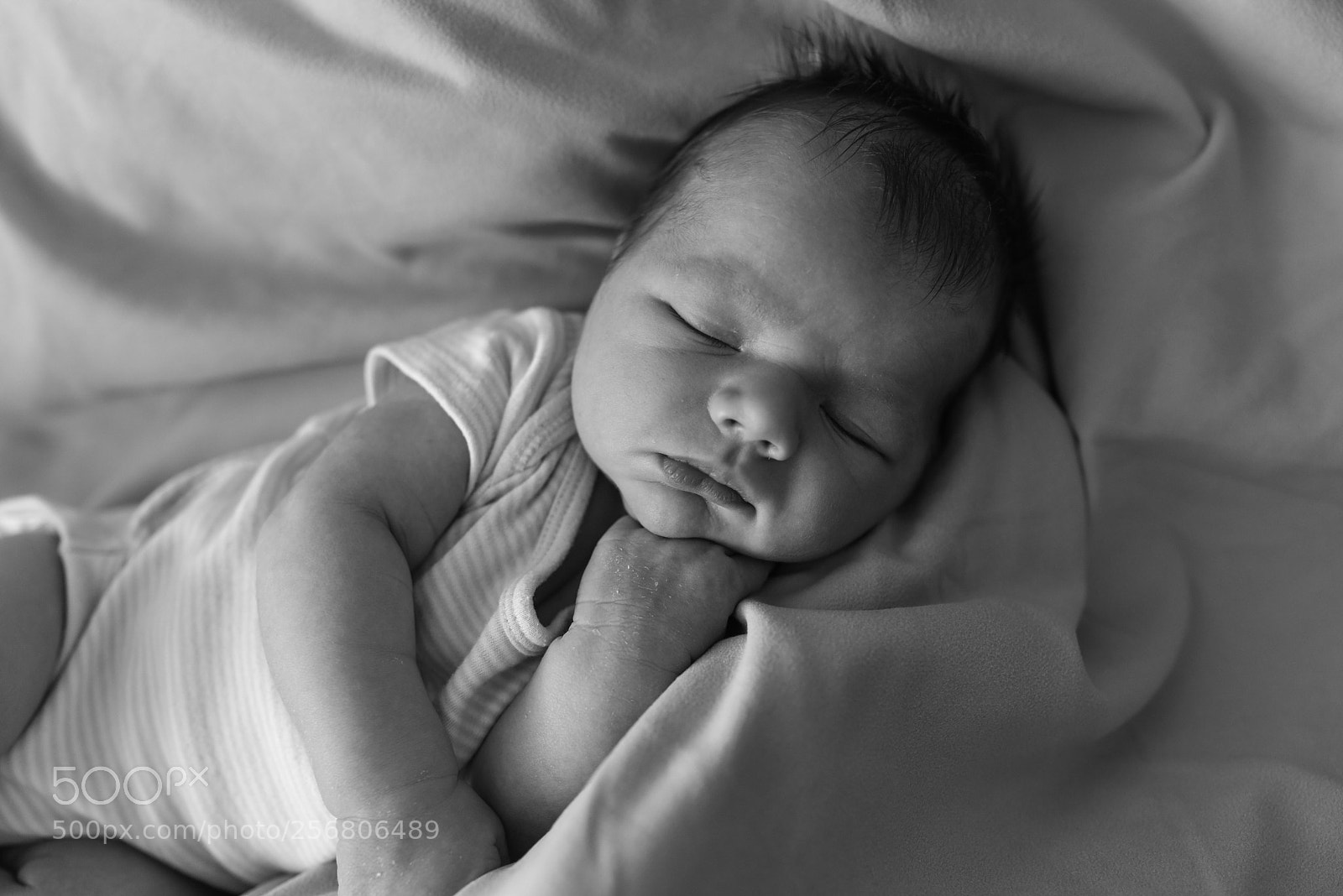 Nikon D750 sample photo. Dsc photography