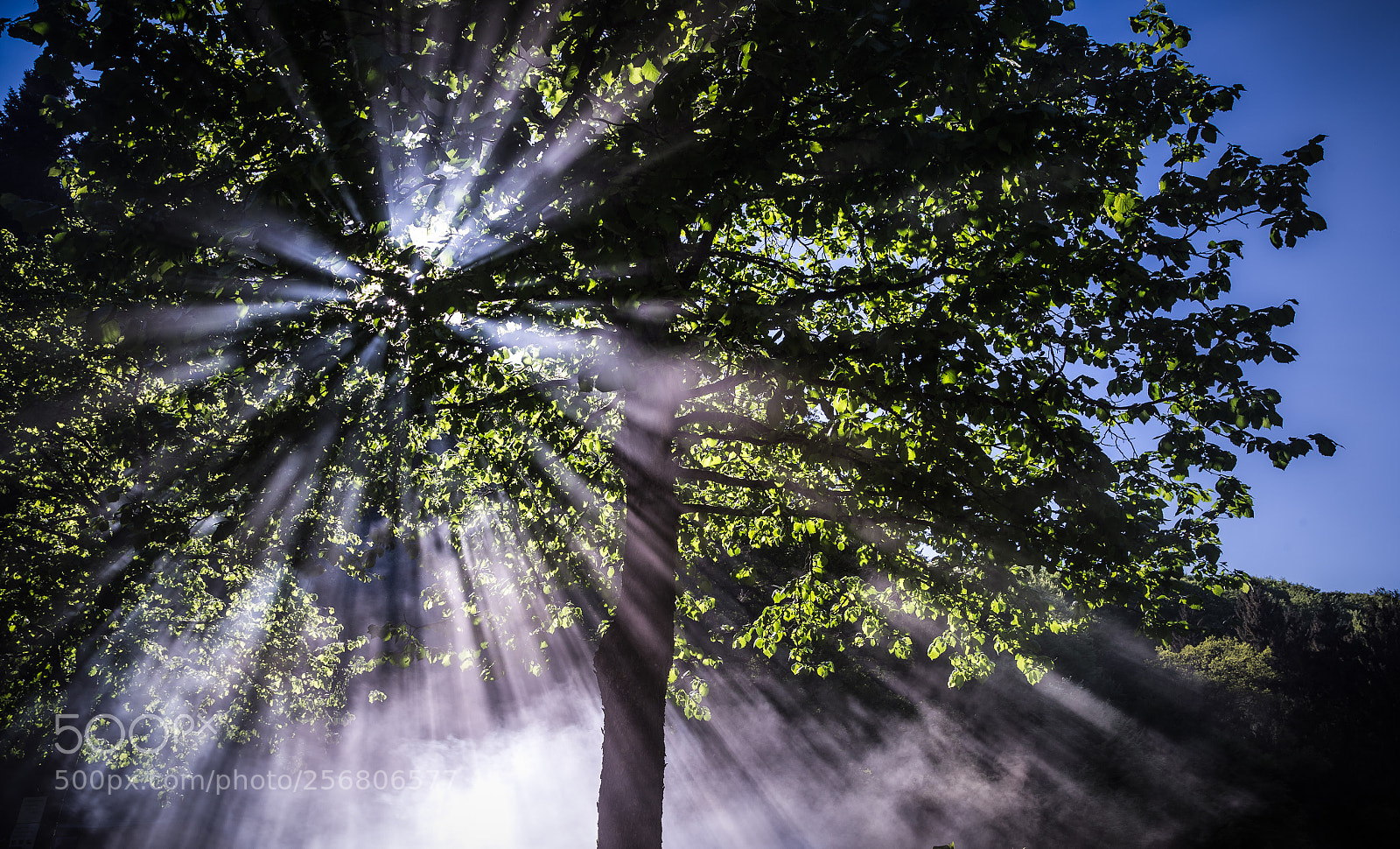Canon EOS 6D sample photo. Smokin’sun photography