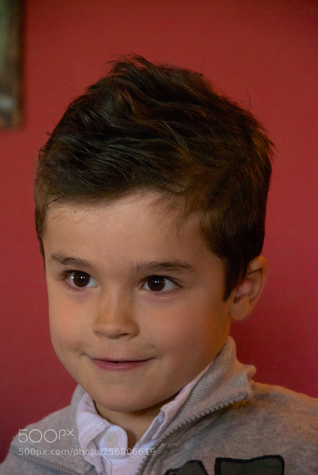 Nikon D60 sample photo. Version photography
