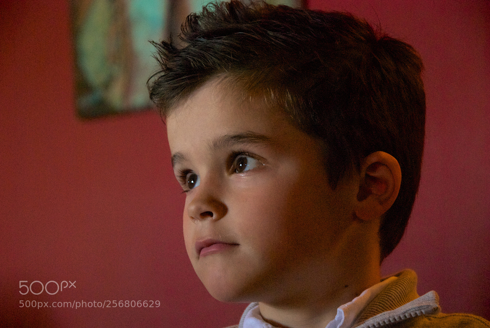 Nikon D60 sample photo. Version photography