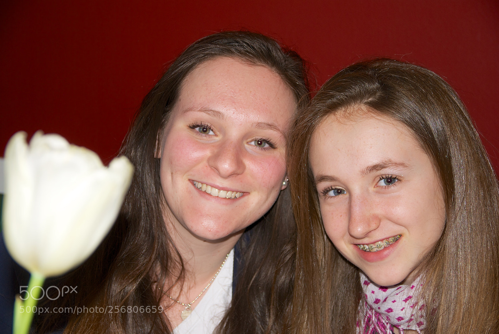 Nikon D60 sample photo. Version photography