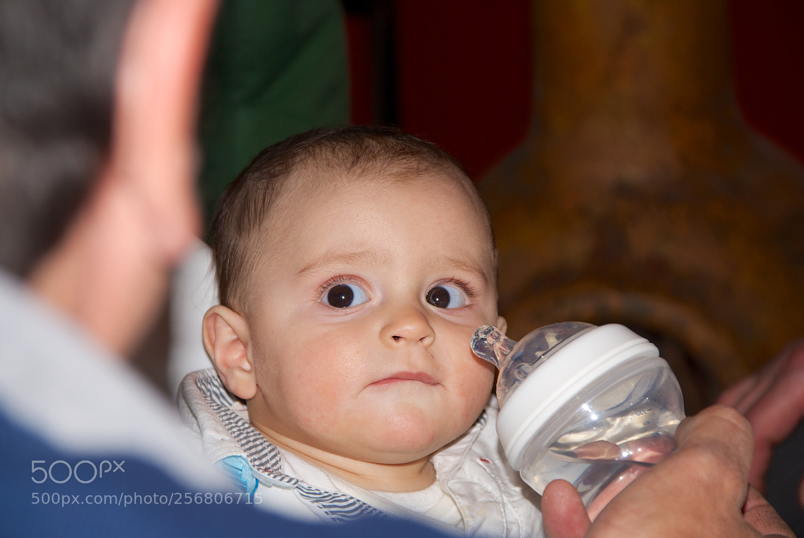 Nikon D60 sample photo. Version photography