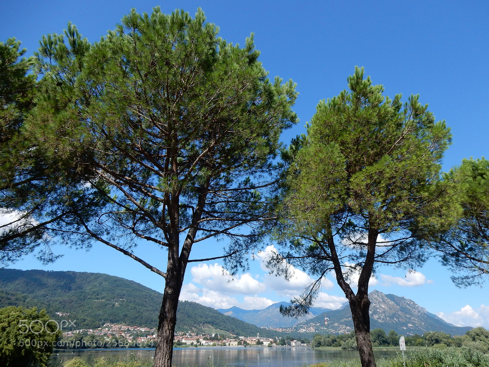 Nikon Coolpix S9900 sample photo. Il sapore dell'estate the photography