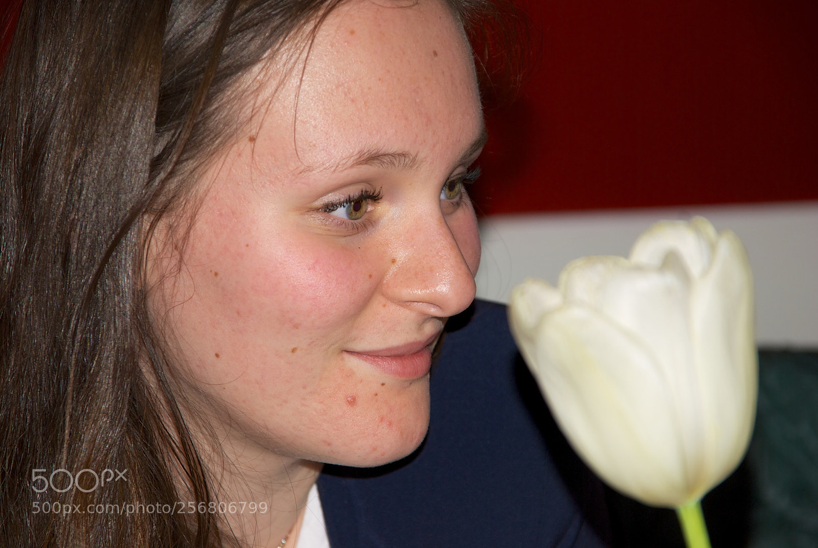 Nikon D60 sample photo. Version photography