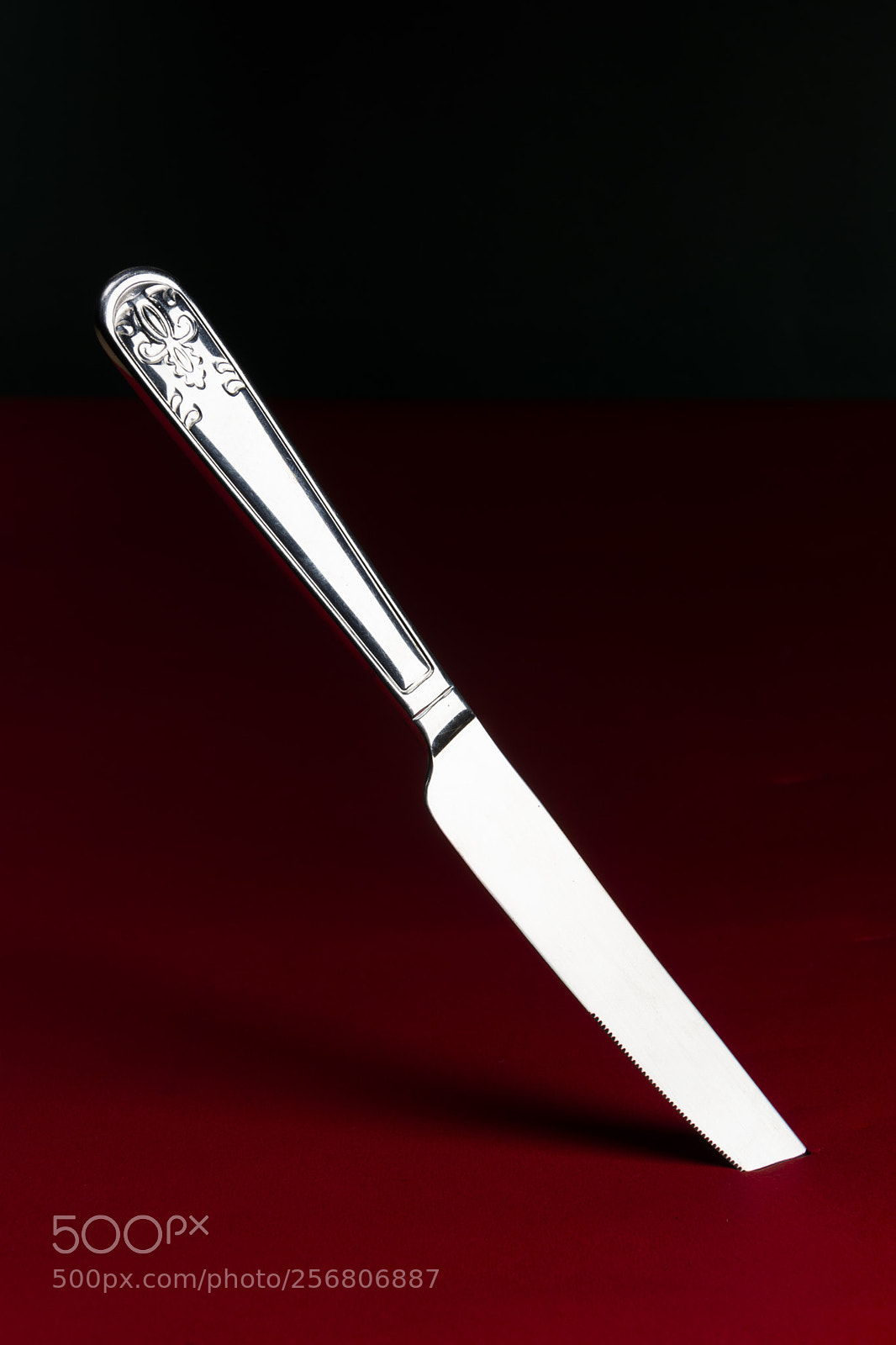 Nikon D7200 sample photo. Metal butter knife on photography